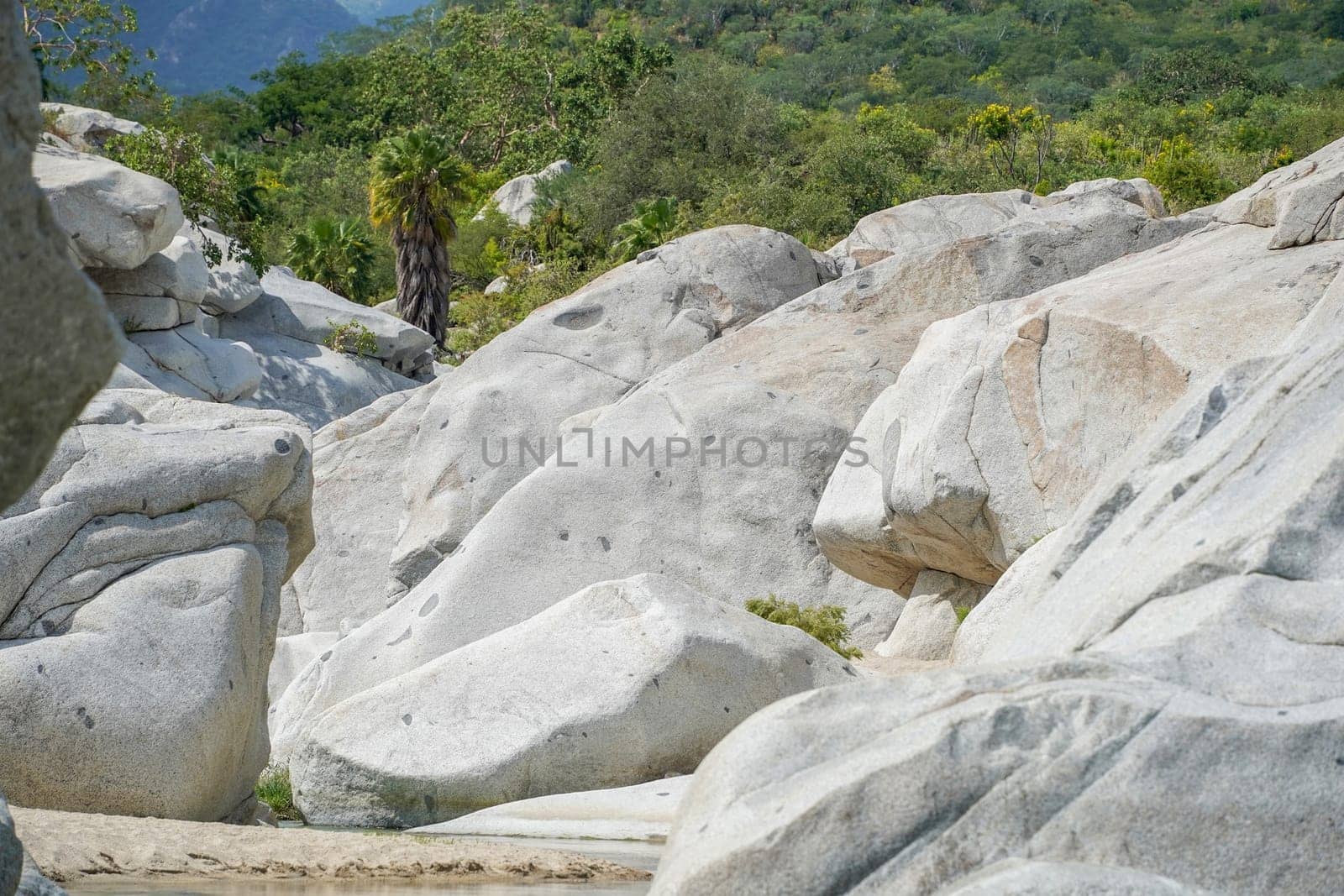 river creek white stones in san dionisio in sierra de la laguna baja california sur mexico panorama