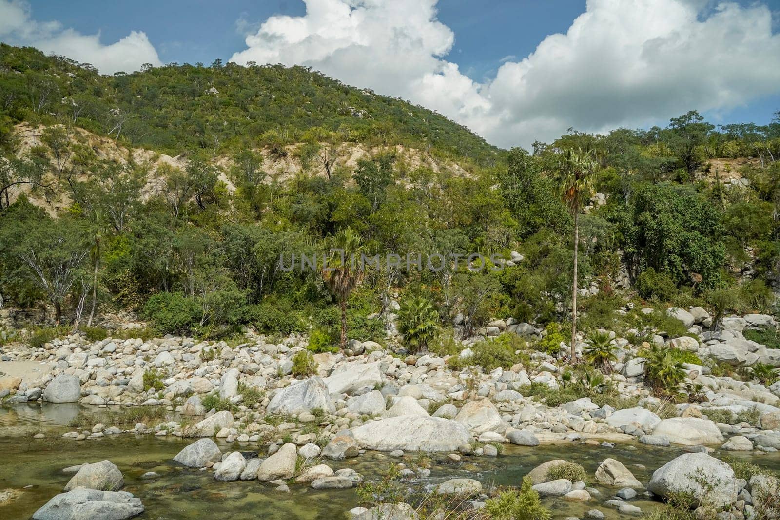 river creek white stones in san dionisio in sierra de la laguna baja california sur mexico panorama