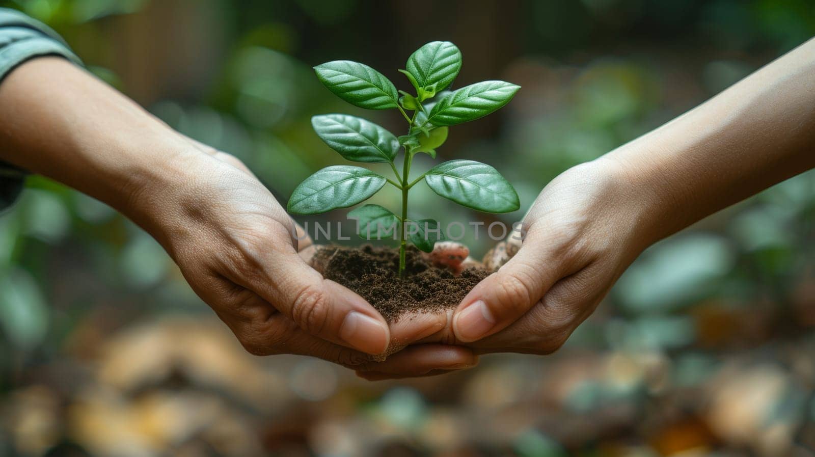 Assuring Sustainable partner trust is the mission of ecosystem plant business holding green plants together. The concept of sustainable partner trust which incorporates the development ecology concept