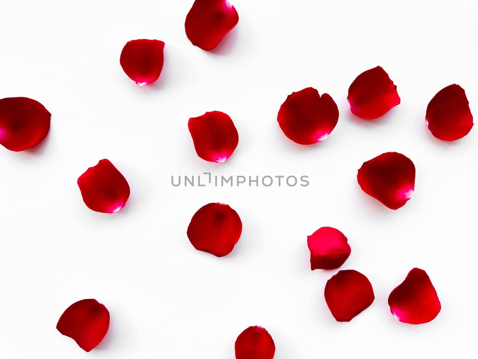 Scattered red rose petals isolated on white background. Flat lay, top view. Romantic concept for design and decoration. Can be used for romantic event decorations, wedding invitations, greeting cards and in cosmetics and perfumery advertising. by Lunnica