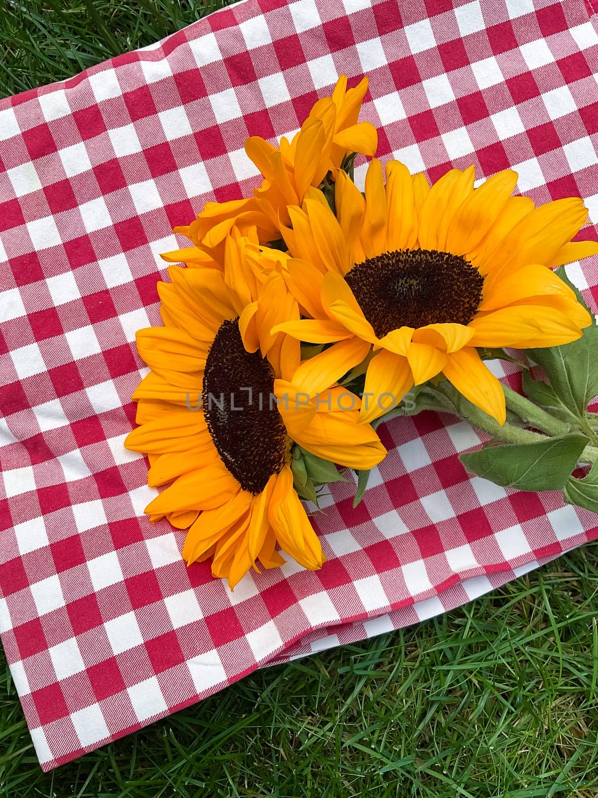 Bright sunflowers on red and white checkered cloth over green grass, picnic concept with a summer vibe for outdoor lifestyle design. ideal for summer themed designs, picnic event promotions, agricultural and gardening content, as well as for lifestyle blog posts, outdoor activity materials, and home decor inspiration. It can also be used in advertising for outdoor products, seasonal greetings, and invitations. by Lunnica