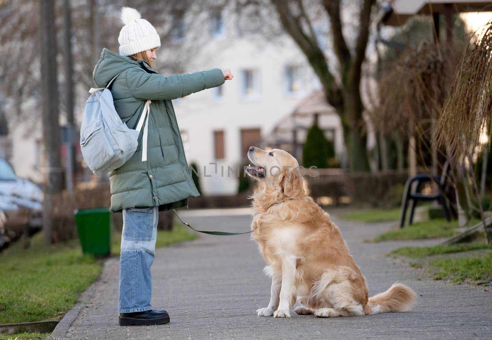 Girl Trains Golden Retriever Dog During Spring Walk