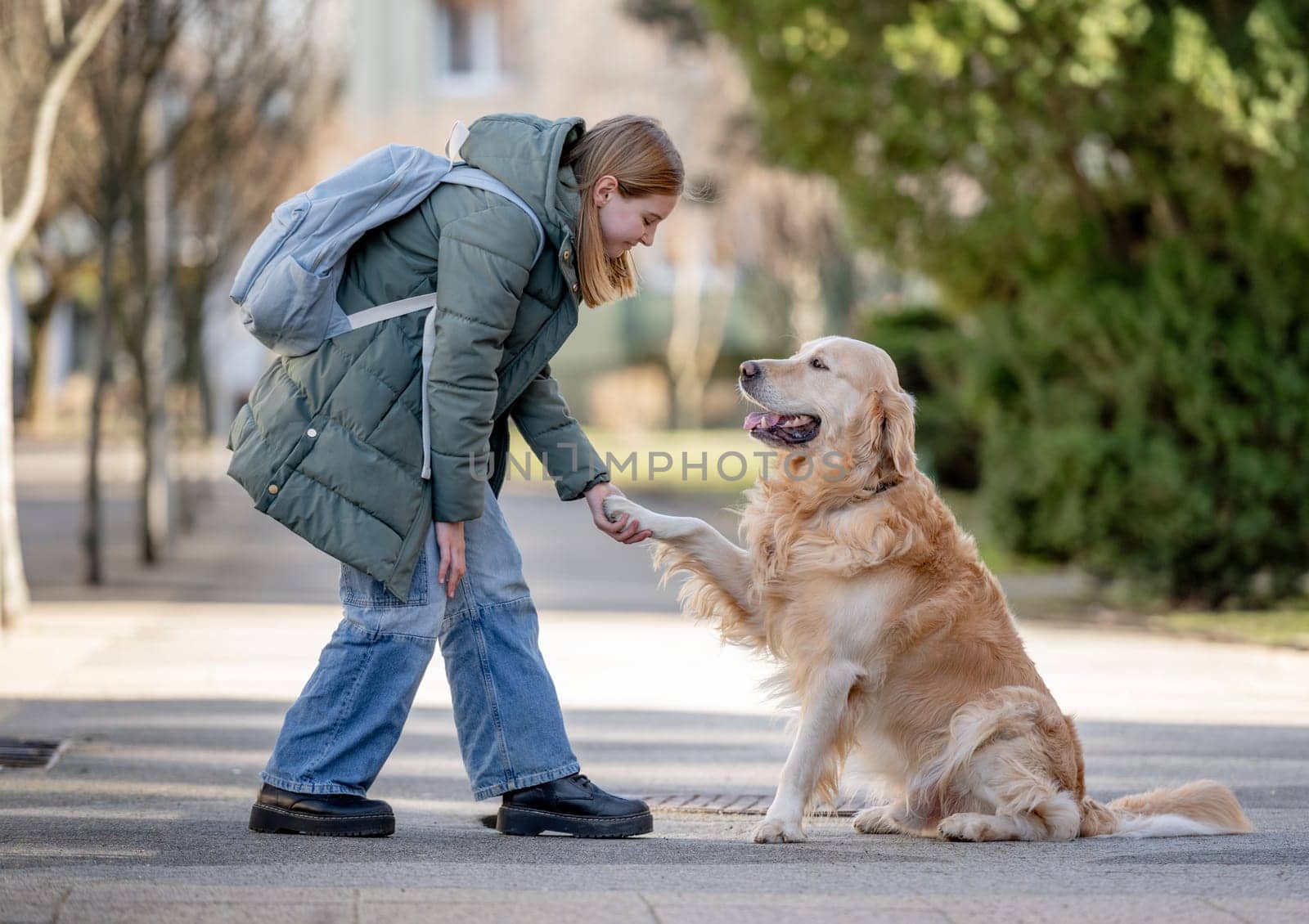 Golden Retriever Gives Paw To Its Young Girl Owner During Winter Walk With Dog