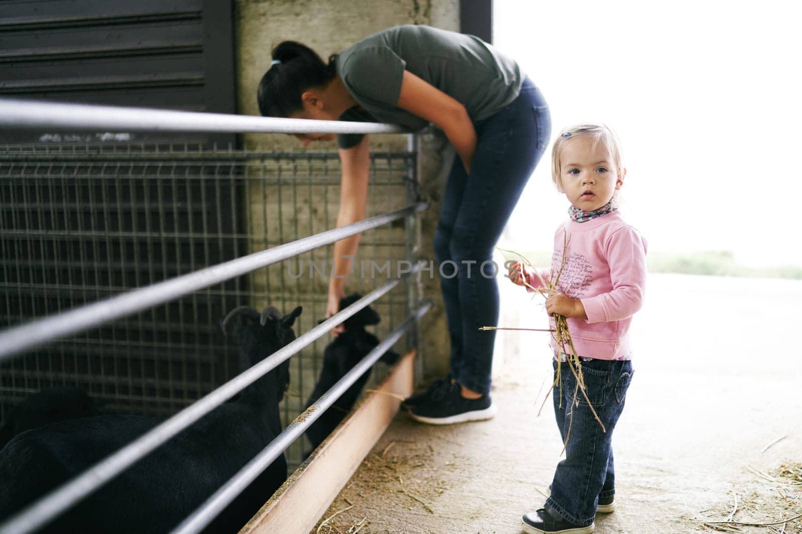 Little girl with a pile of hay stands next to her mother stroking goats over a fence in a paddock by Nadtochiy