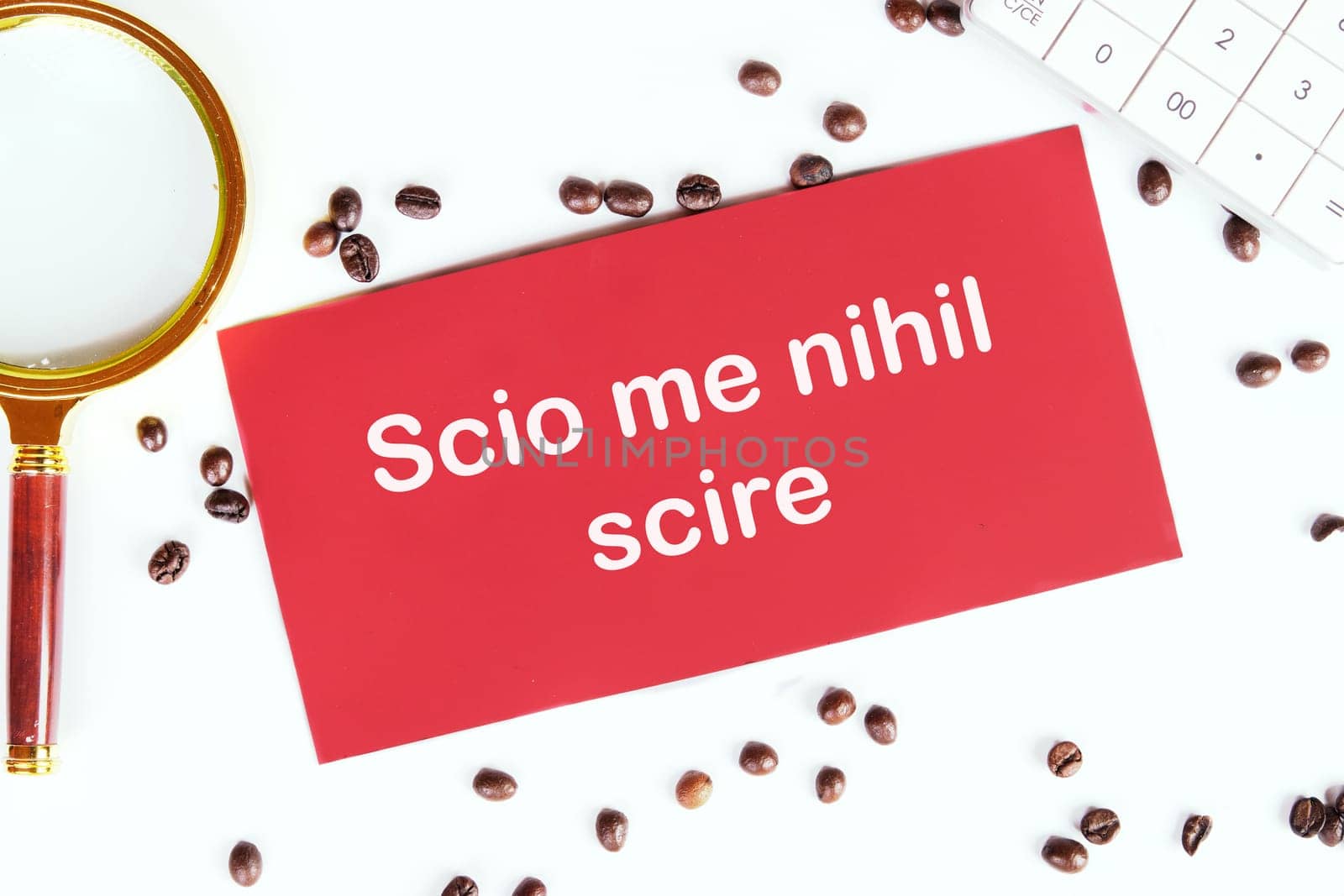 Scio me nihil scire It is translated from Latin as I know I don't know anything. It's written on the red card