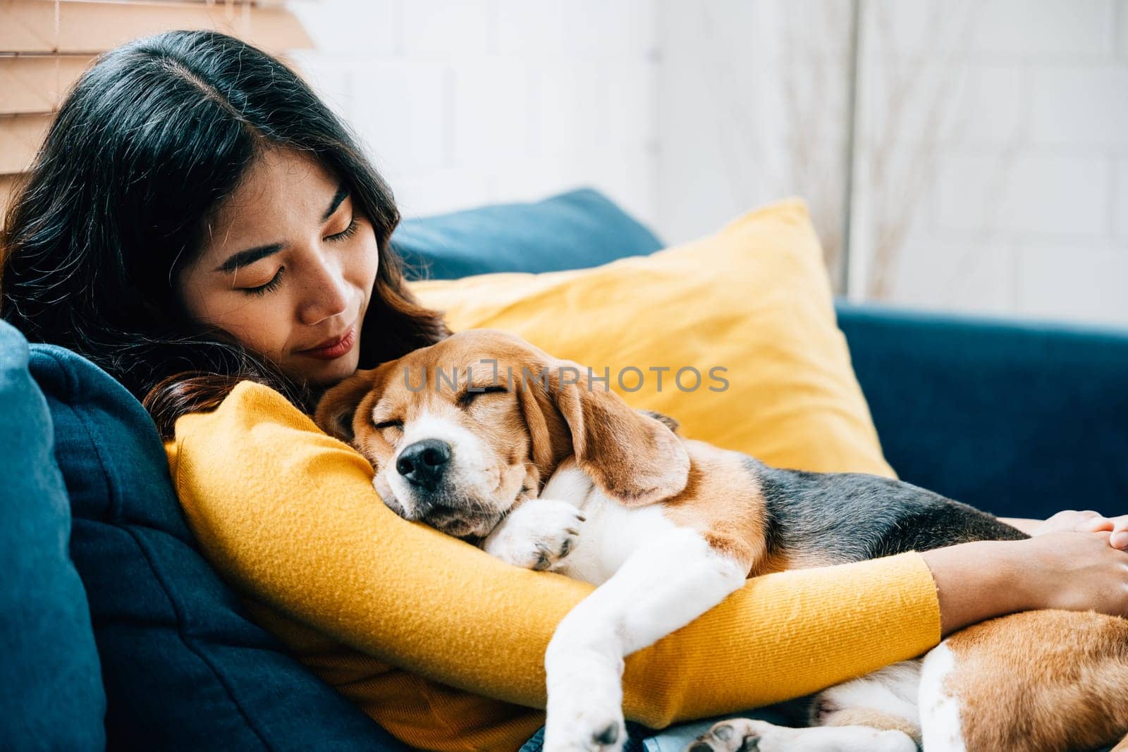 Embracing the concept of trust and love, an Asian woman and her Beagle puppy nap together on the sofa in their living room. Their bond is a beautiful portrayal of happiness and togetherness at home. by Sorapop