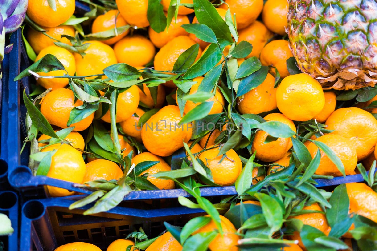 Open air market in Italy, different fruit. Madeira's fruits, a pineapple lemon orange