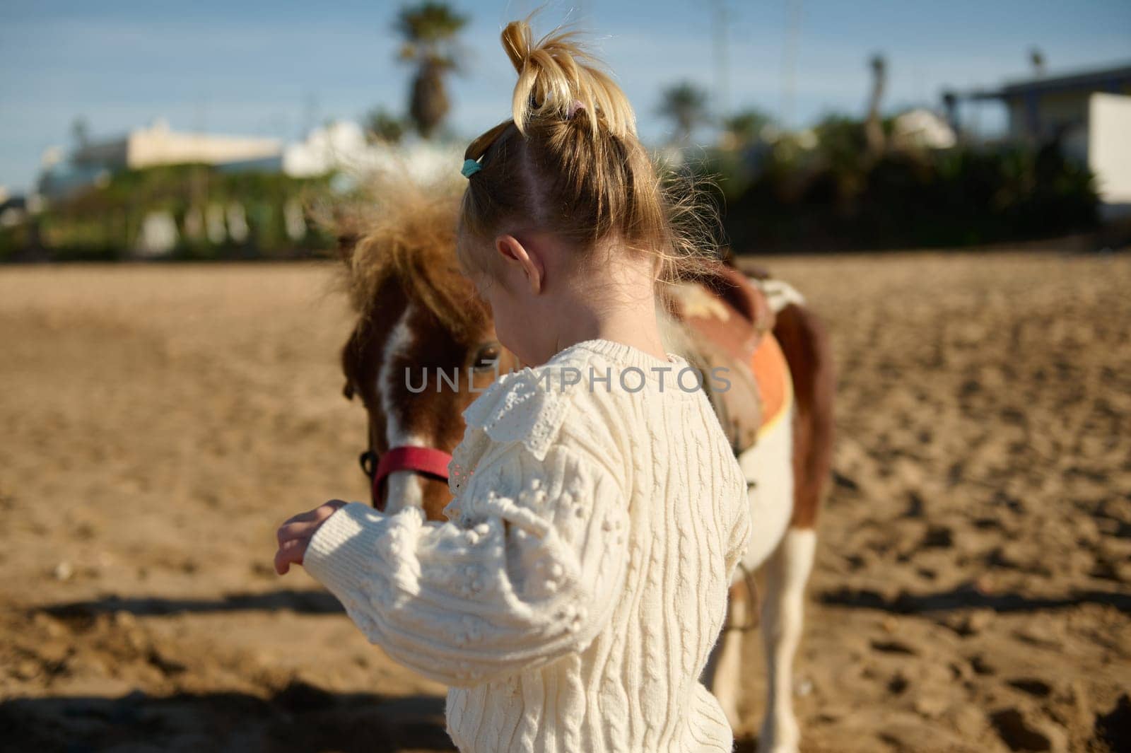 Rear view of a Caucasian little child girl with a pony on the sandy beach