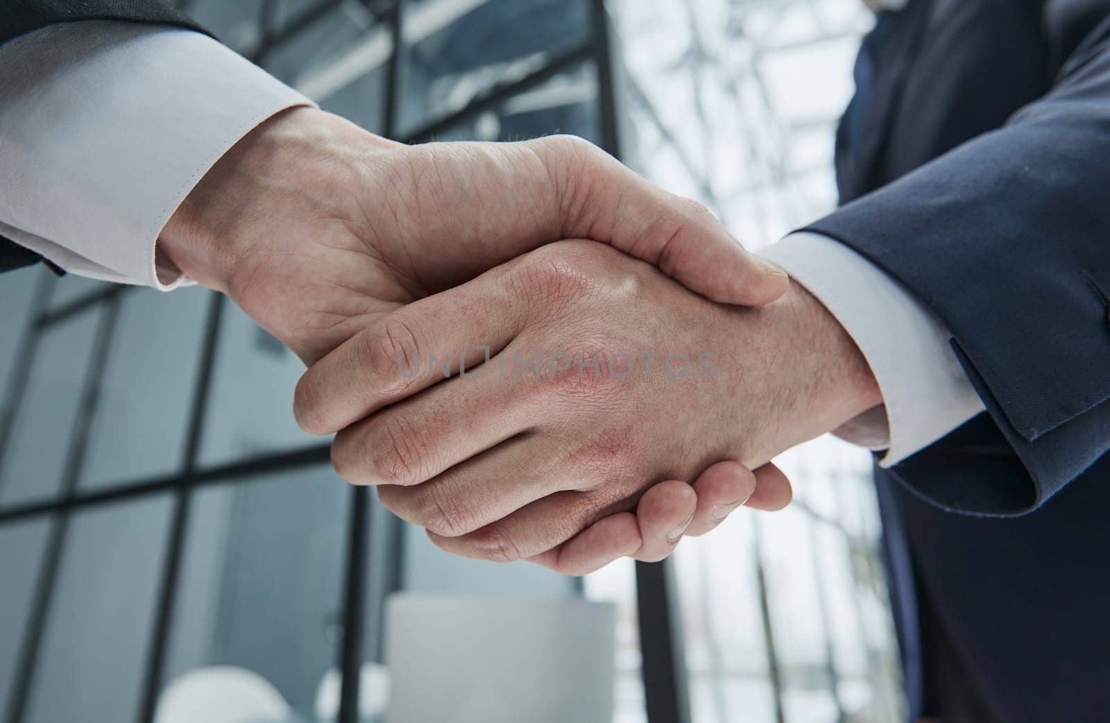 Portrait of elegant businessmen handshaking in conference hall by Prosto