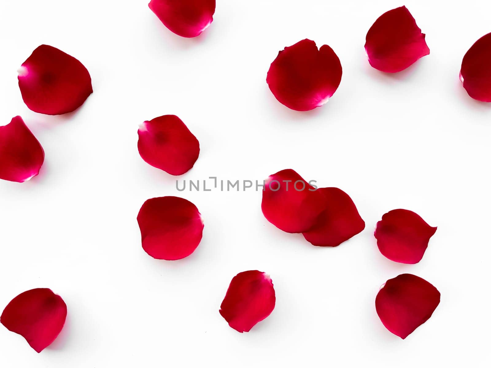 Scattered red rose petals isolated on white background. Flat lay, top view. Romantic concept for design and decoration. Can be used for romantic event decorations, wedding invitations, greeting cards and in cosmetics and perfumery advertising. High quality photo