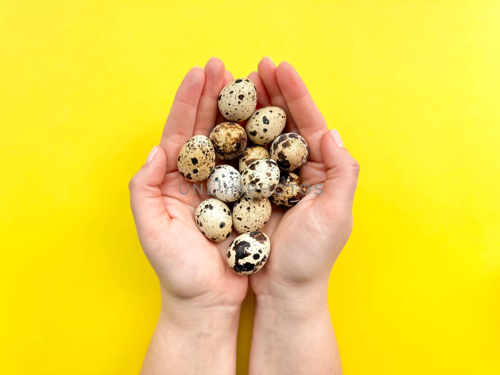 Hands presenting quail eggs against vibrant yellow background, depicting concepts of organic produce and Easter decorations with space for text. High quality photo