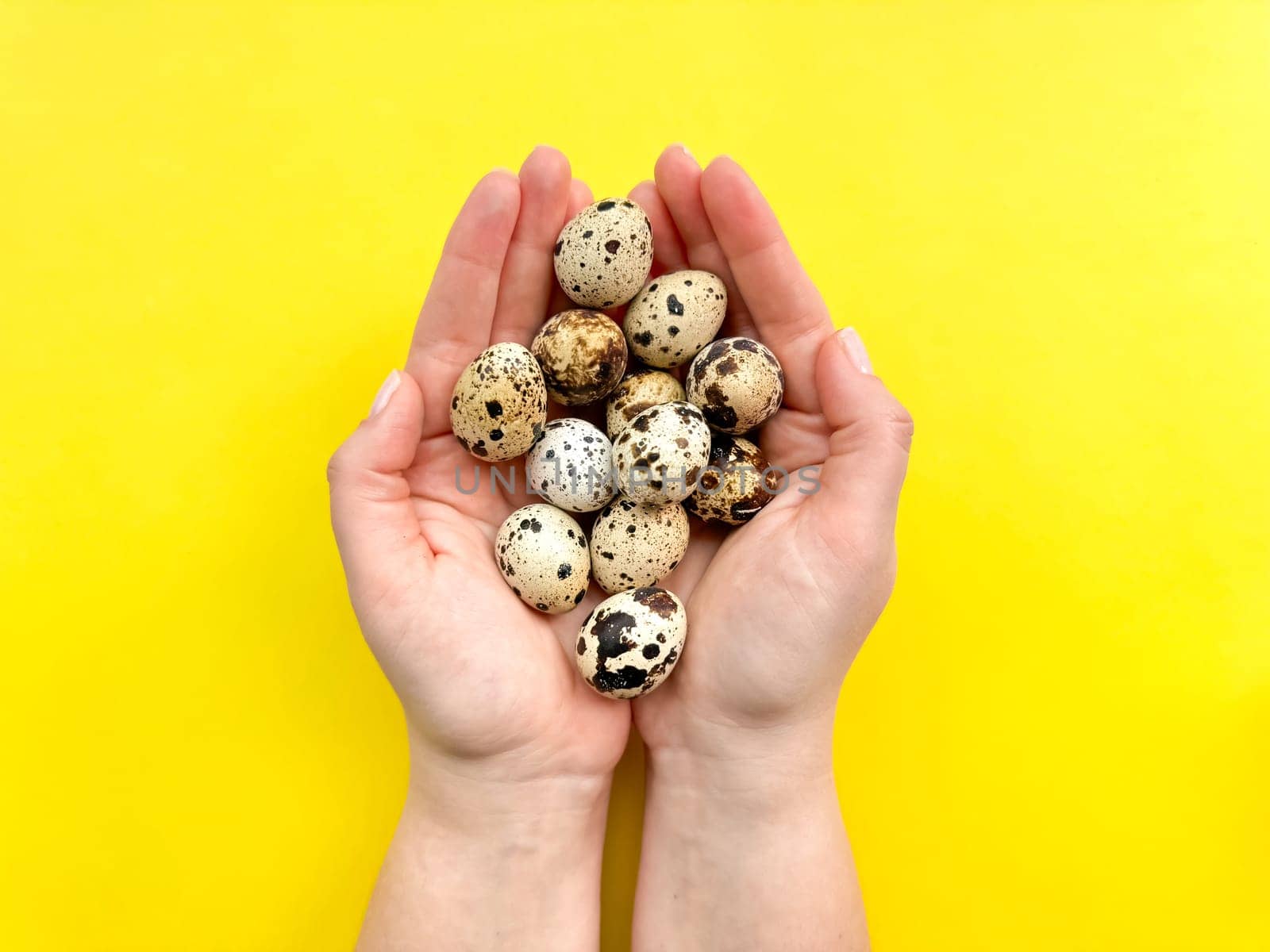 Hands presenting quail eggs against vibrant yellow background, depicting concepts of organic produce and Easter decorations with space for text. by Lunnica