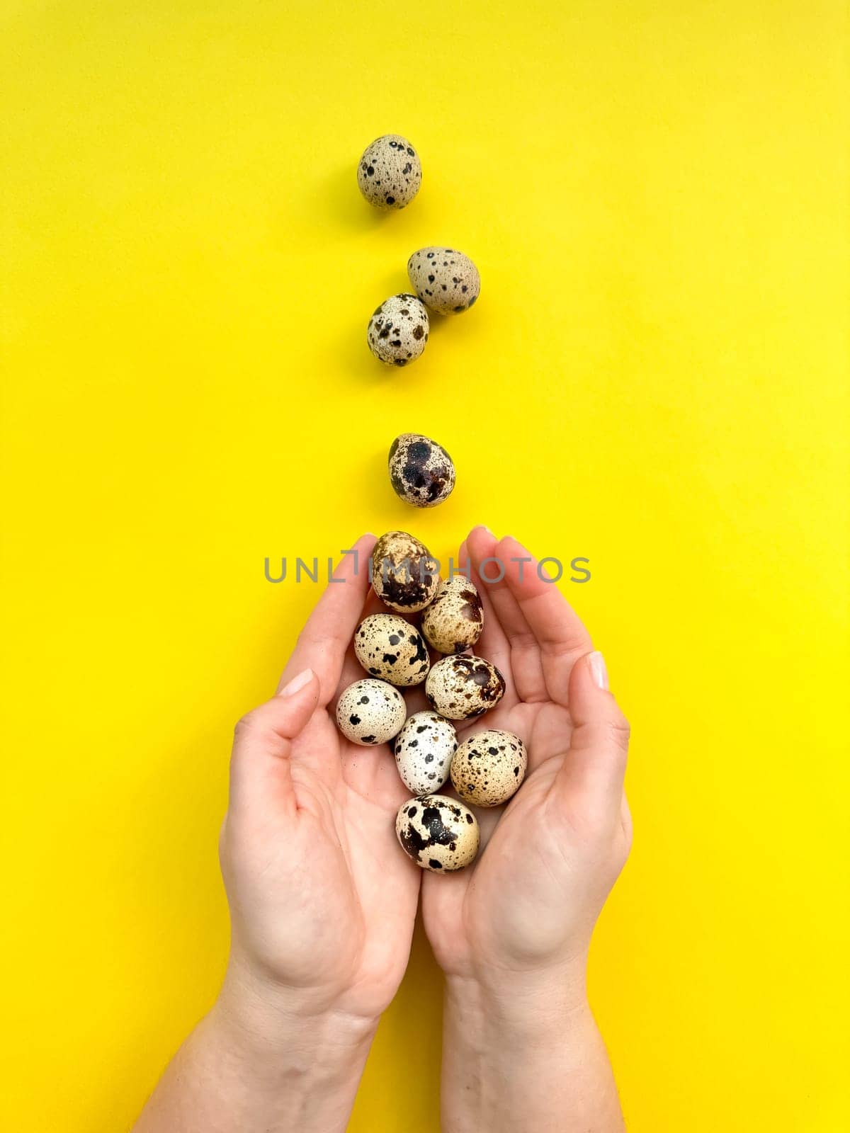 Pair of hands holding quail eggs on yellow background, symbolizing Easter, springtime, and natural food concepts with copy space for text. High quality photo