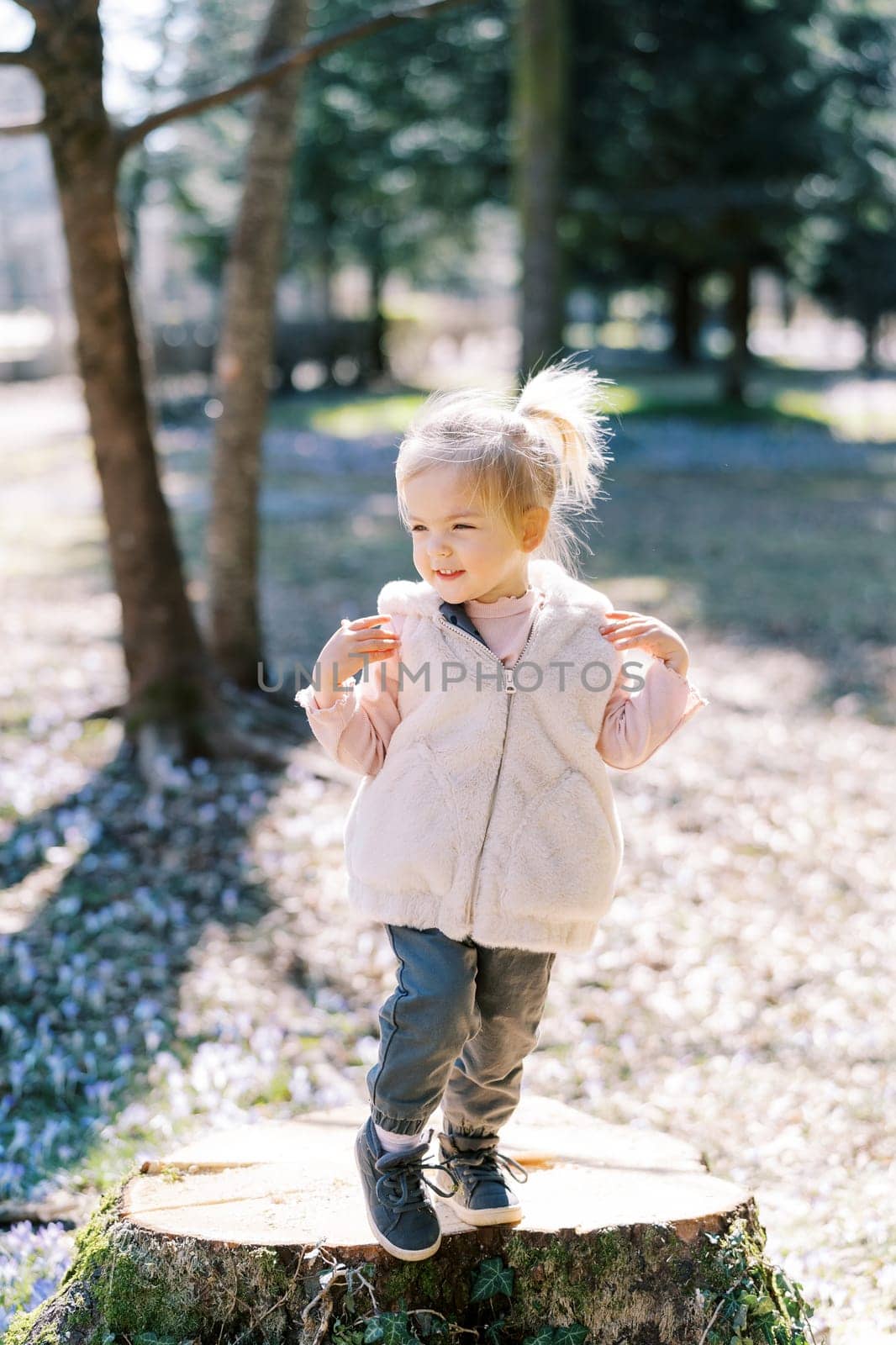 Little smiling girl stands on a stump and looks away. High quality photo