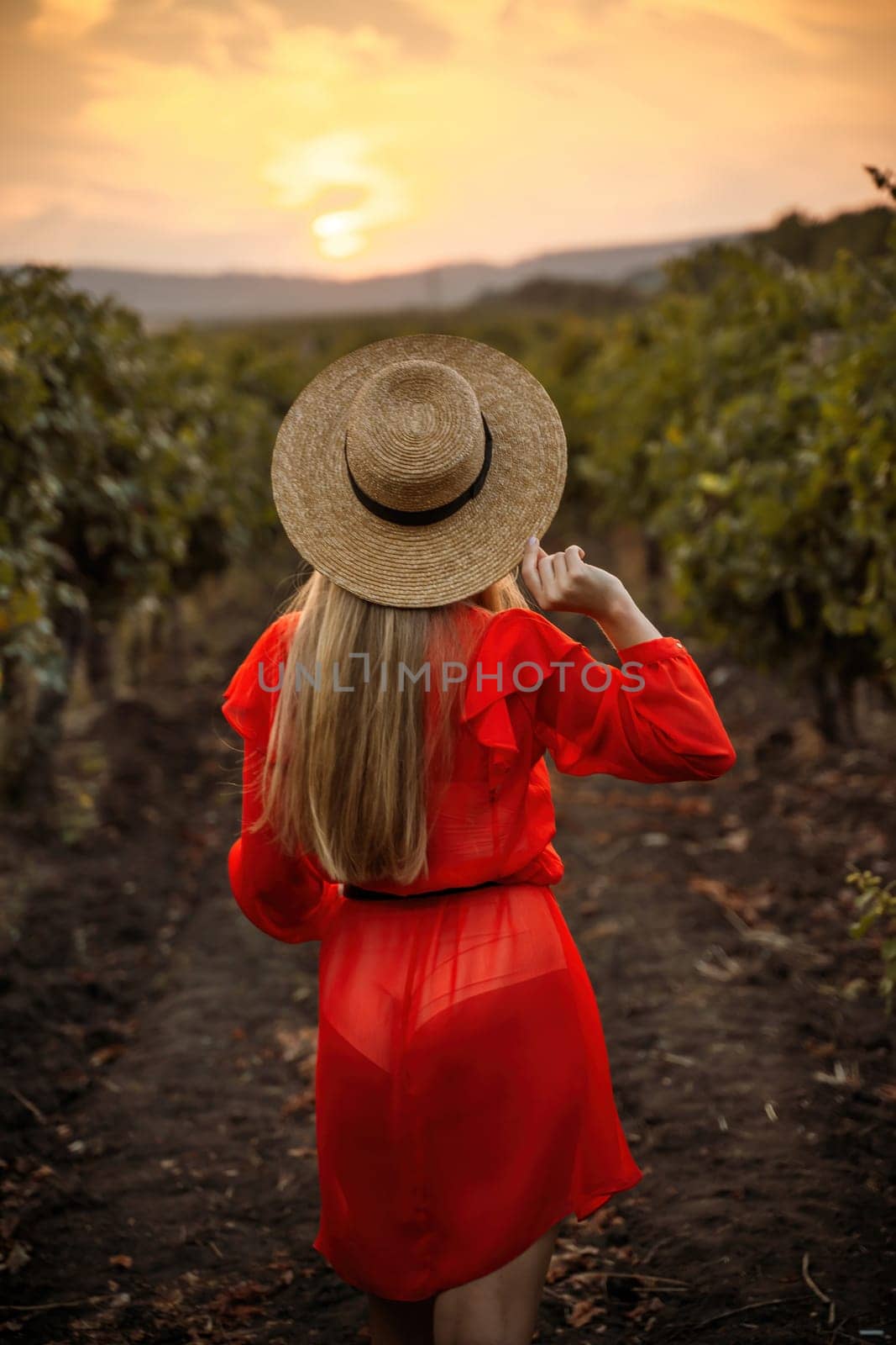 portrait of a happy woman in the summer vineyards at sunset. woman in a hat and smiling. by Matiunina