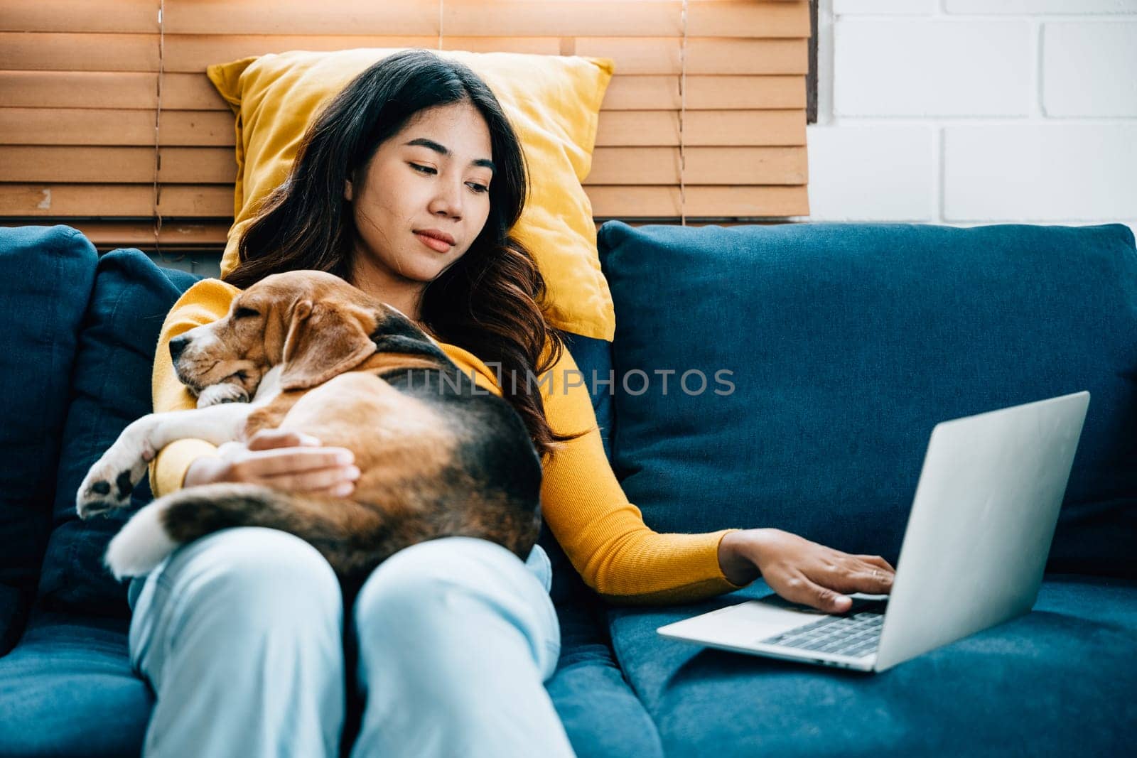 In the cozy living room, a happy young woman works on her laptop on the sofa while her Beagle dog peacefully sleeps. Their friendship and tranquility create a harmonious home office. Friendly Dog. by Sorapop