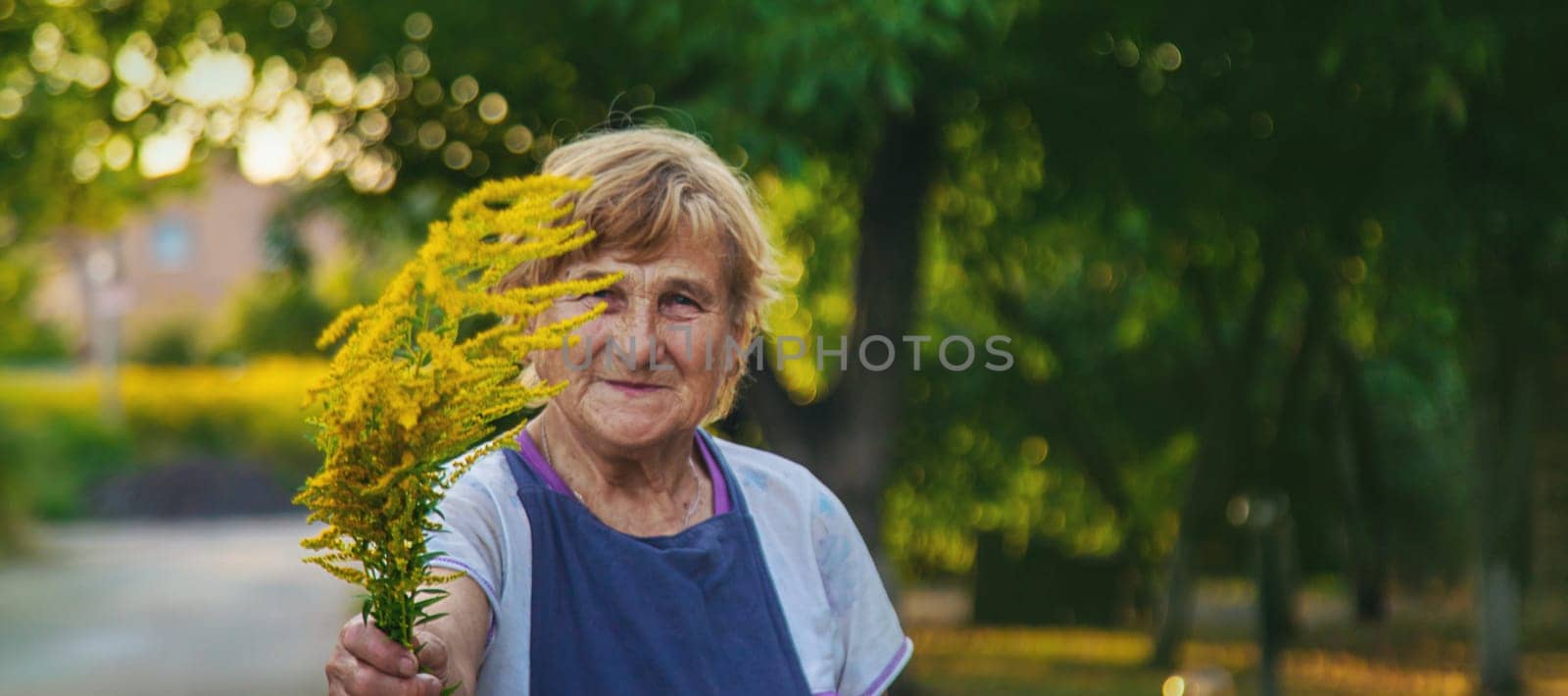 An elderly woman is allergic to ragweed. selective focus. Nature.