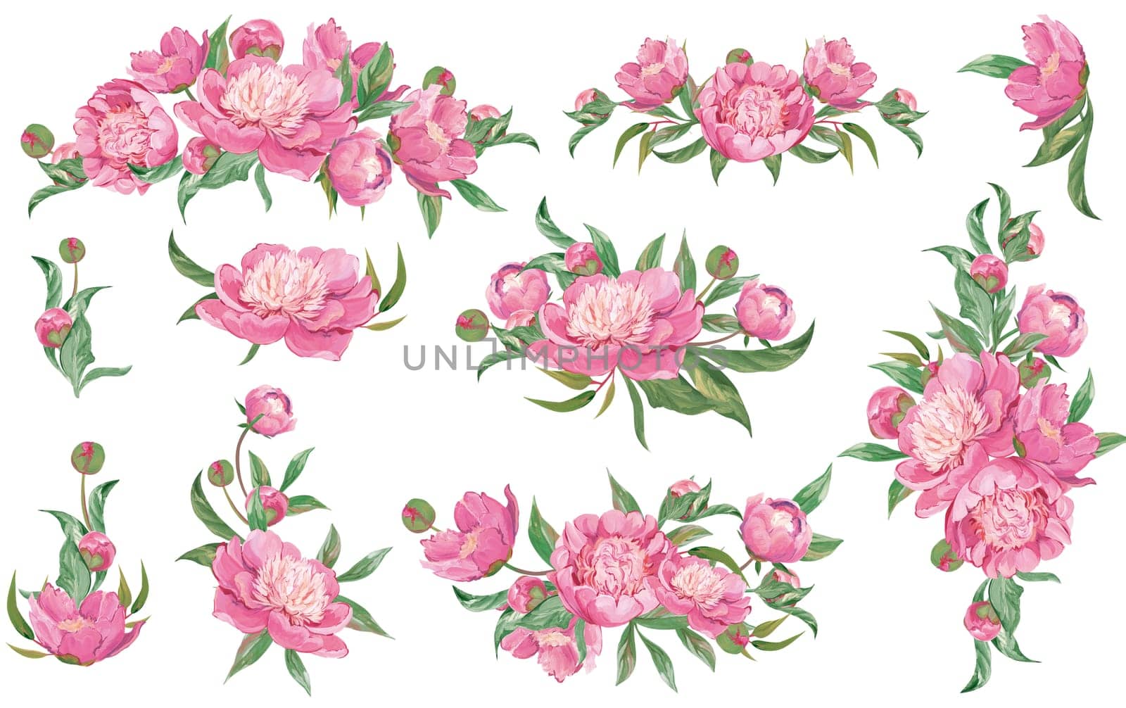 Set of bouquets of pink peonies and botanical elements isolated on white background