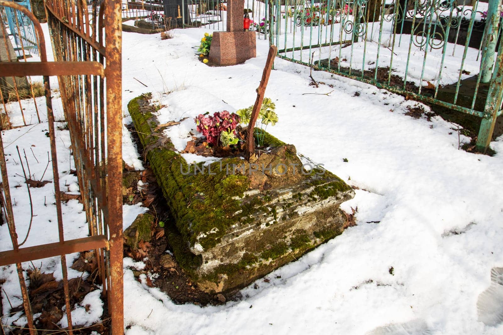 Old grave in the cemetery in moss by Vera1703