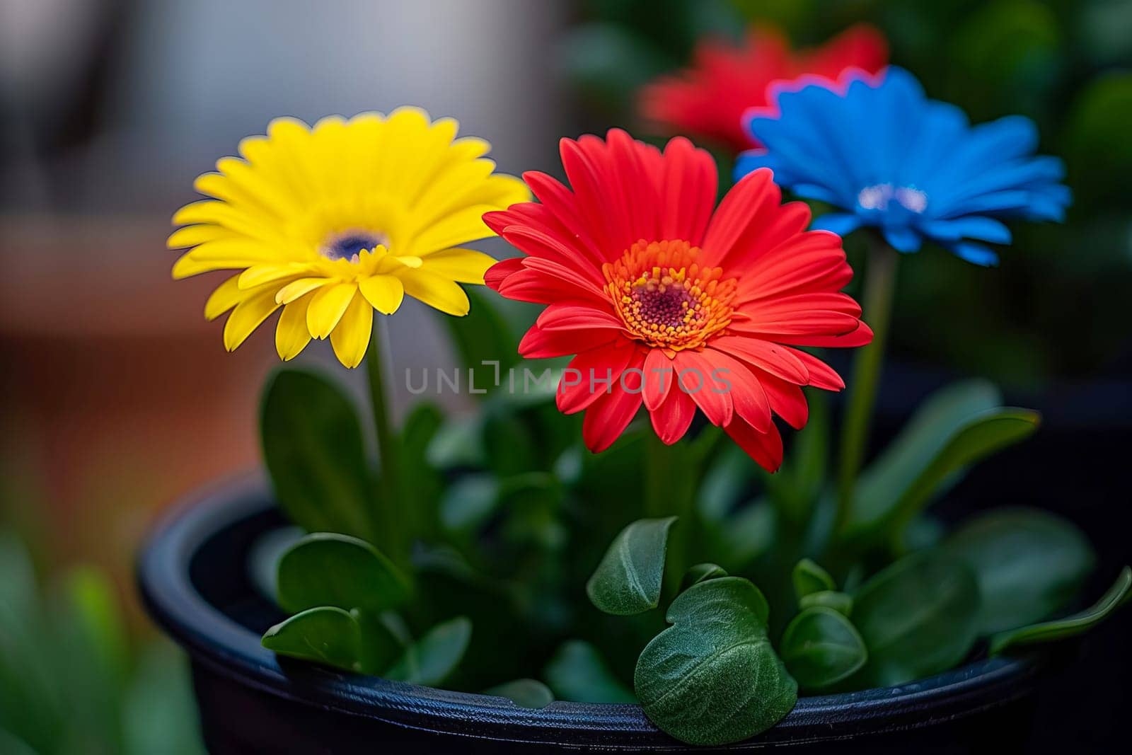 Bouquet of beautiful gerberas in a container. The concept of spring, summer, beauty in nature. AI generated.