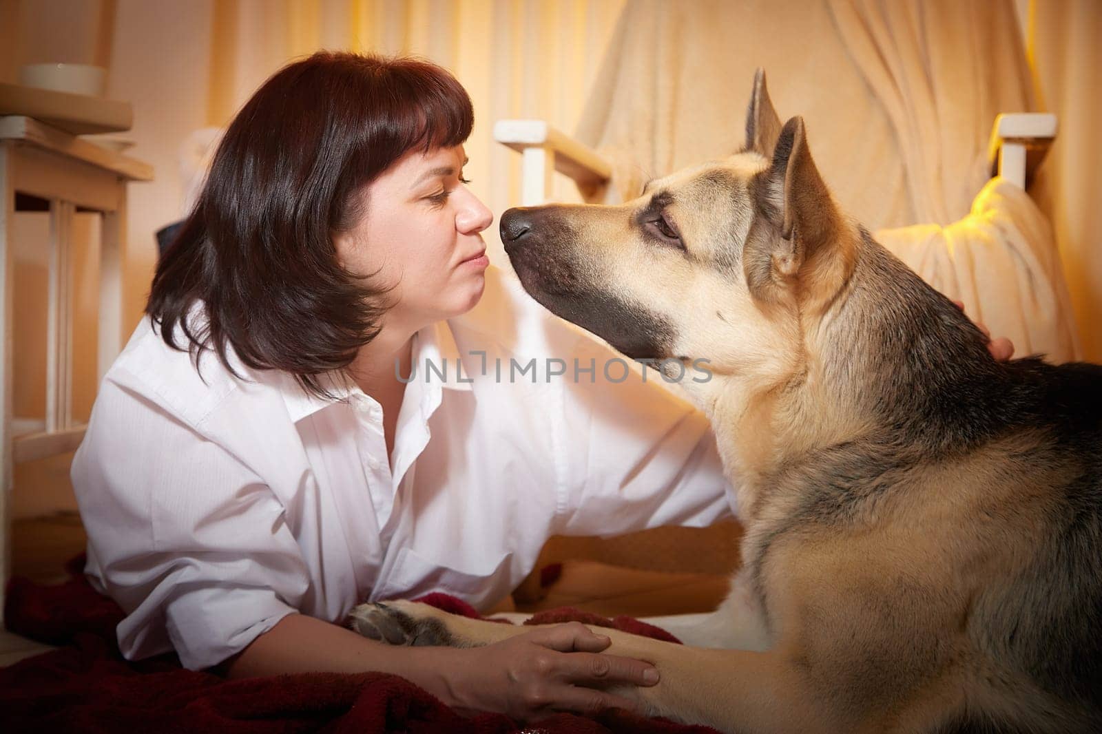 Adult mature woman with big shepherd dog in white shirt. Room with girl and calm cozy evening atmosphere with transparent curtains and soft warm light of lamps. Concept of love for animals, pets