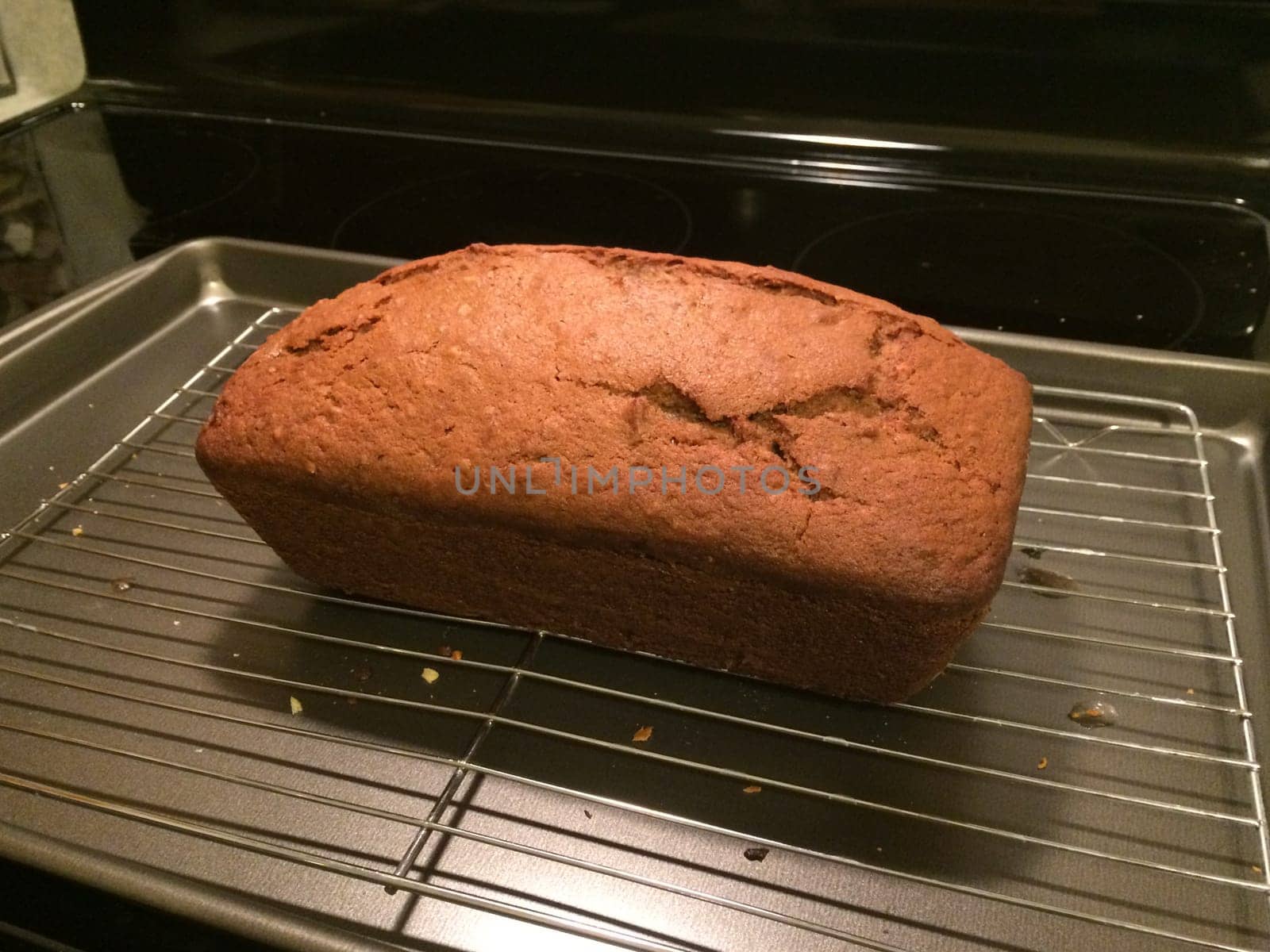 Fresh Baked Zucchini Bread Loaf on Rack. High quality photo