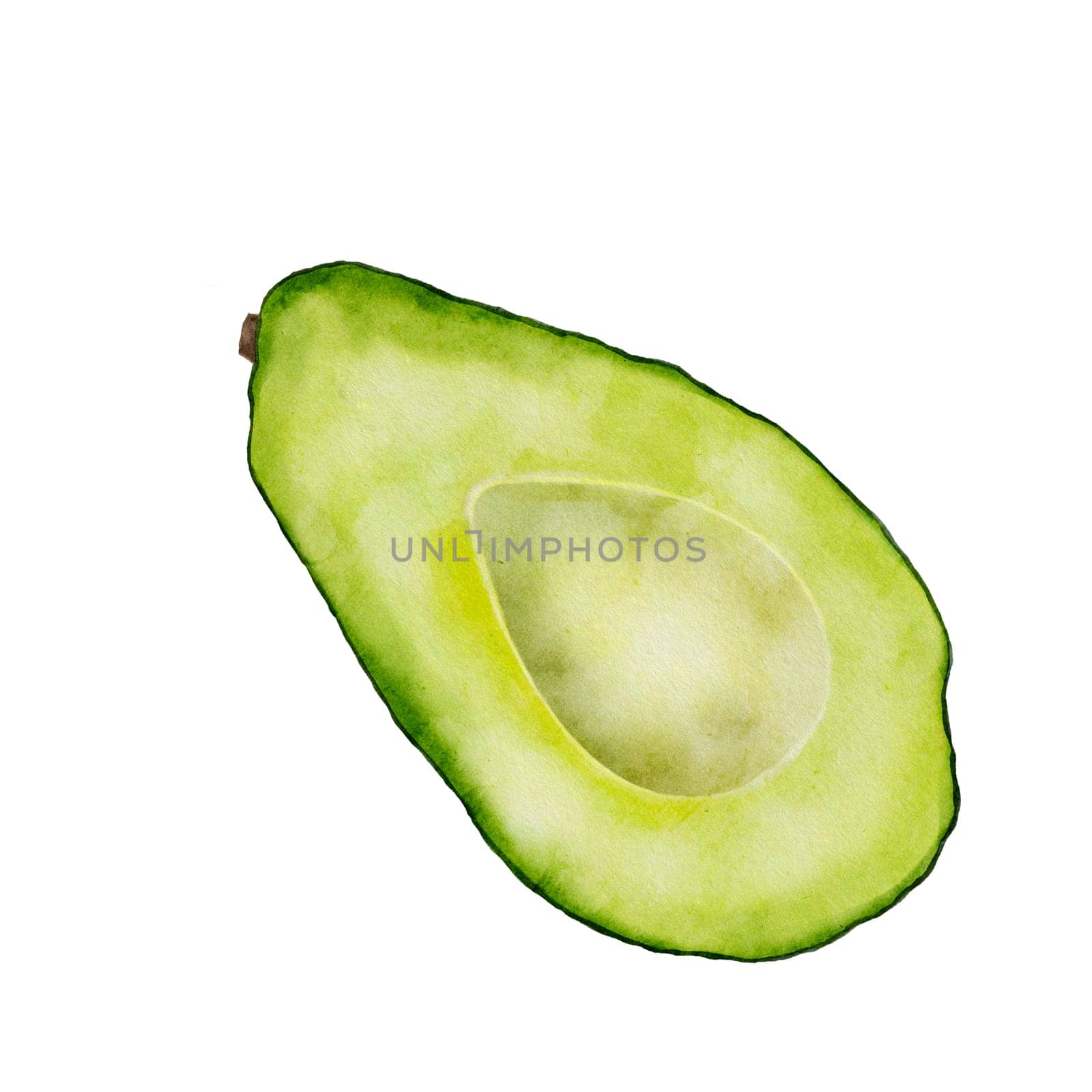 Avocado half watercolor illustration. Hand drawn clipart on isolated white background. Ripe exotic fruit without seed. For healthy food menu and tags for fresh produce store. Botanical plant sketch. by TatyanaTrushcheleva