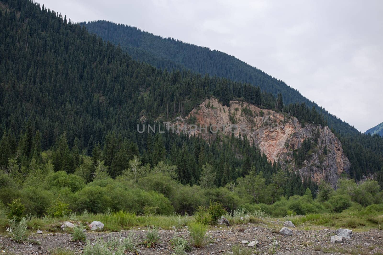 landscape of the area at the green foot of the Kazakh village near the mountains in summer.