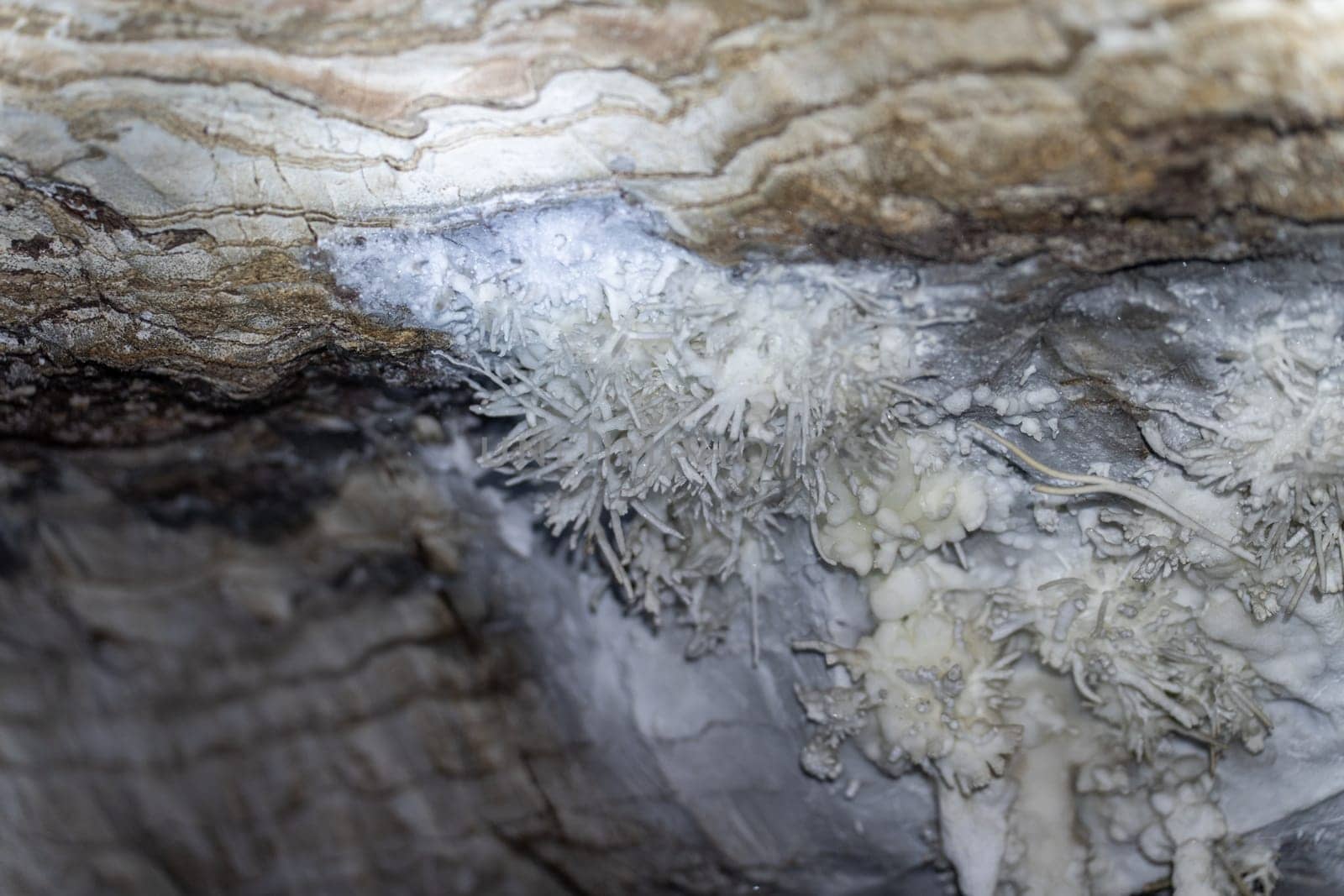 Macro shot of cave's mineral crystals.
