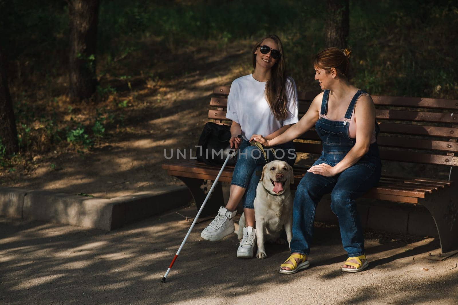 Blind caucasian woman sitting on bench with guide dog and pregnant friend