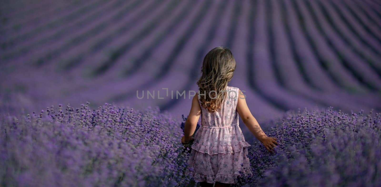 Lavender field girl banner. Back view happy girl in pink dress with flowing hair runs through a lilac field of lavender. Aromatherapy travel by Matiunina