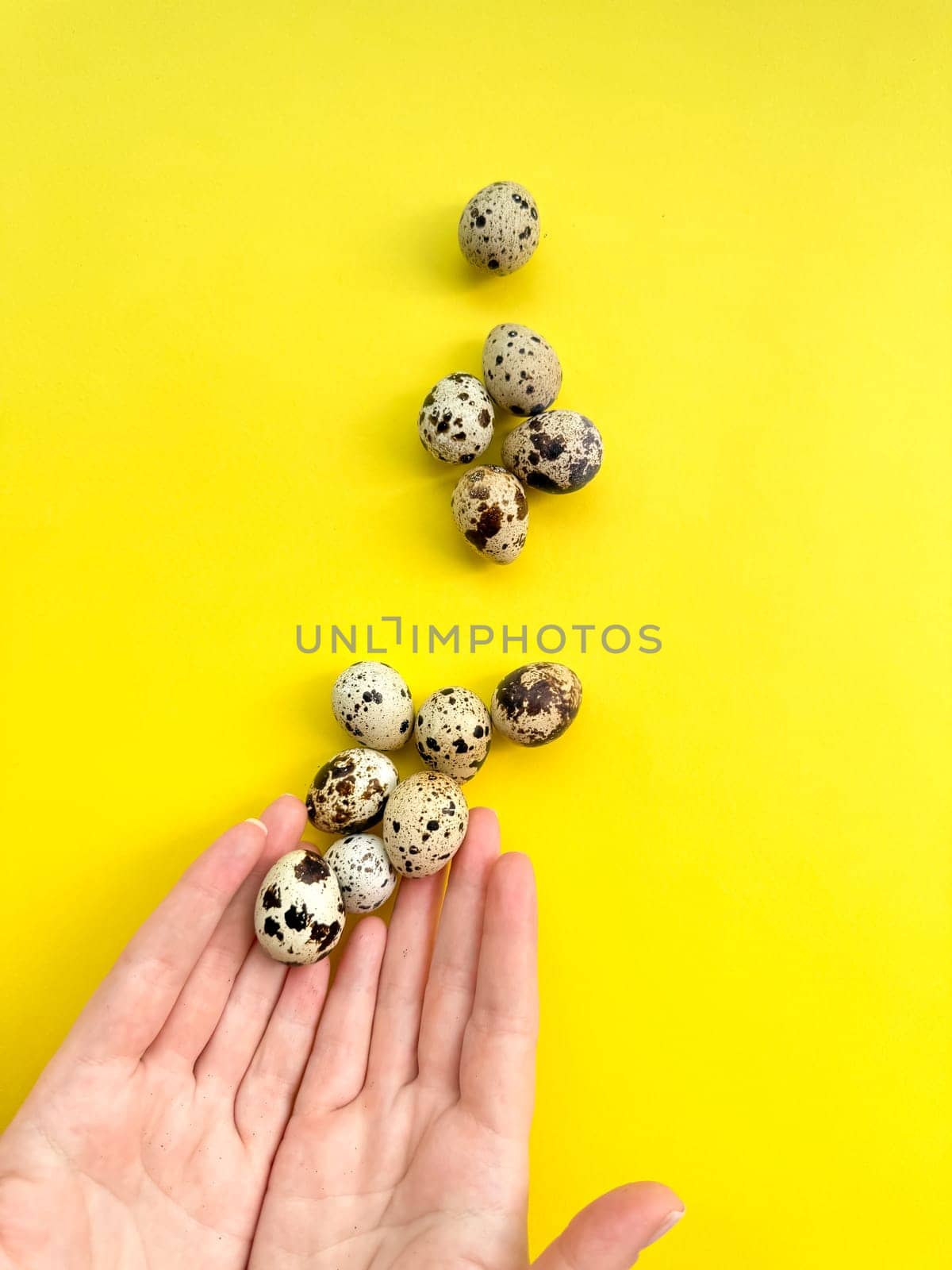 Open hands presenting quail eggs on vivid yellow backdrop, symbolizing nutrition, Easter celebrations, and the joy of spring with ample space for text. by Lunnica