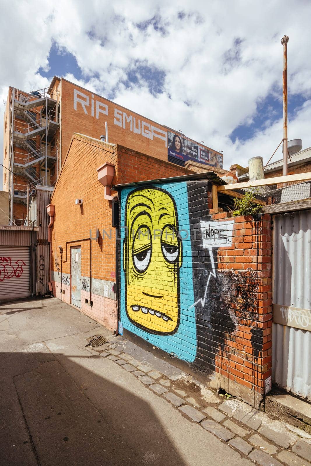 GEELONG, AUSTRALIA - JANUARY 26 2024: The laneways and artwork around Minns Lane near Little Malop St on a warm summer's morning in Geelong, Victoria, Australia