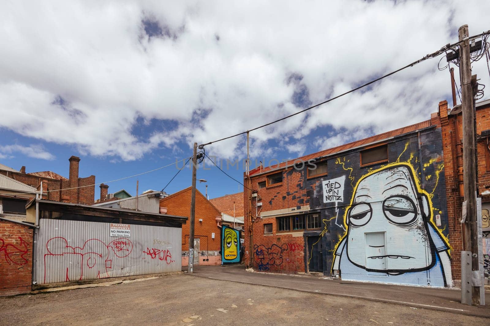 GEELONG, AUSTRALIA - JANUARY 26 2024: The laneways and artwork around Minns Lane near Little Malop St on a warm summer's morning in Geelong, Victoria, Australia