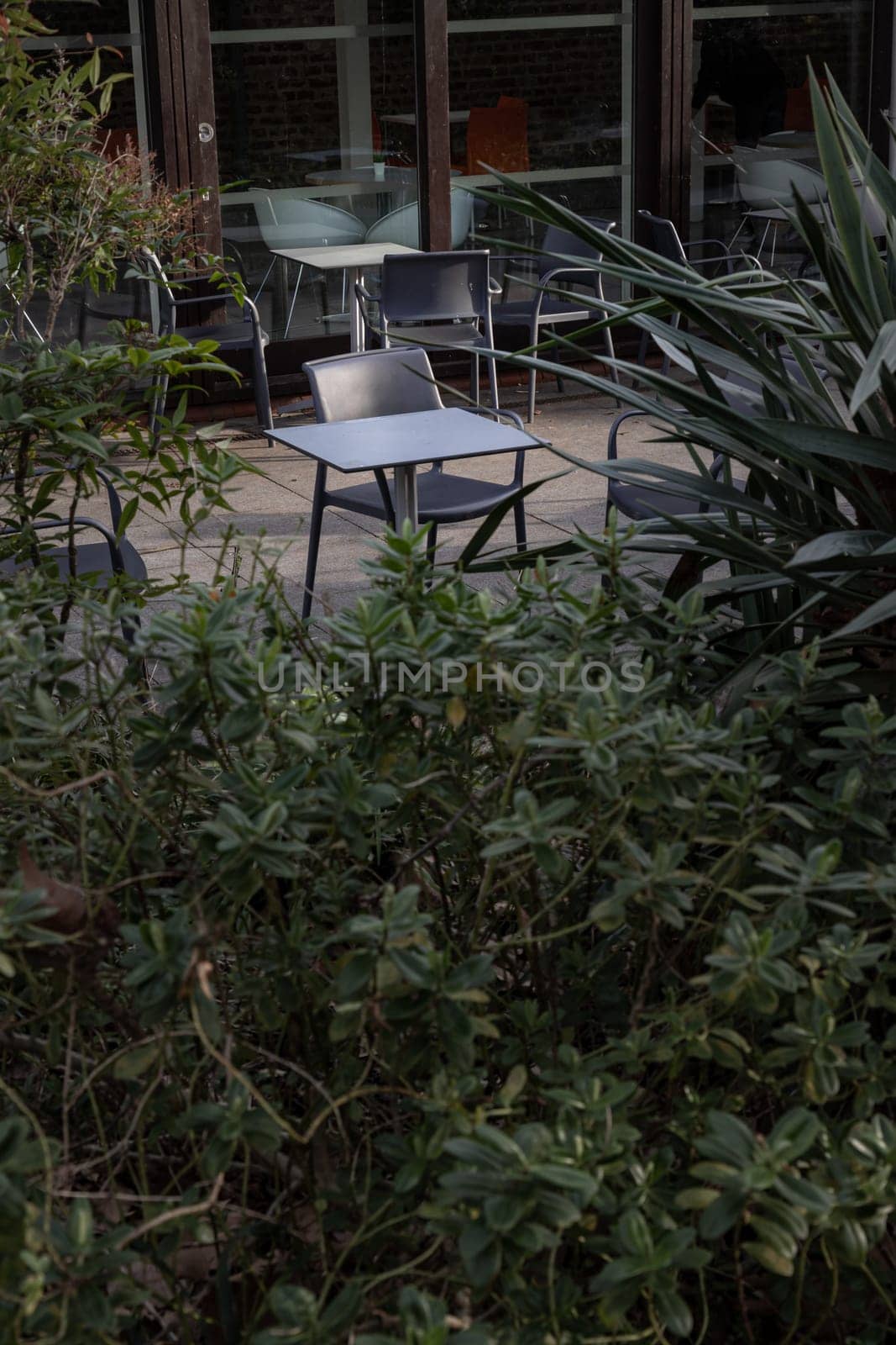 Empty tables and chairs shadows outside a cafe with looking through a gap the bushes. Sunlight shine through tables and chairs in the afternoon, Space for text, Selective focus.