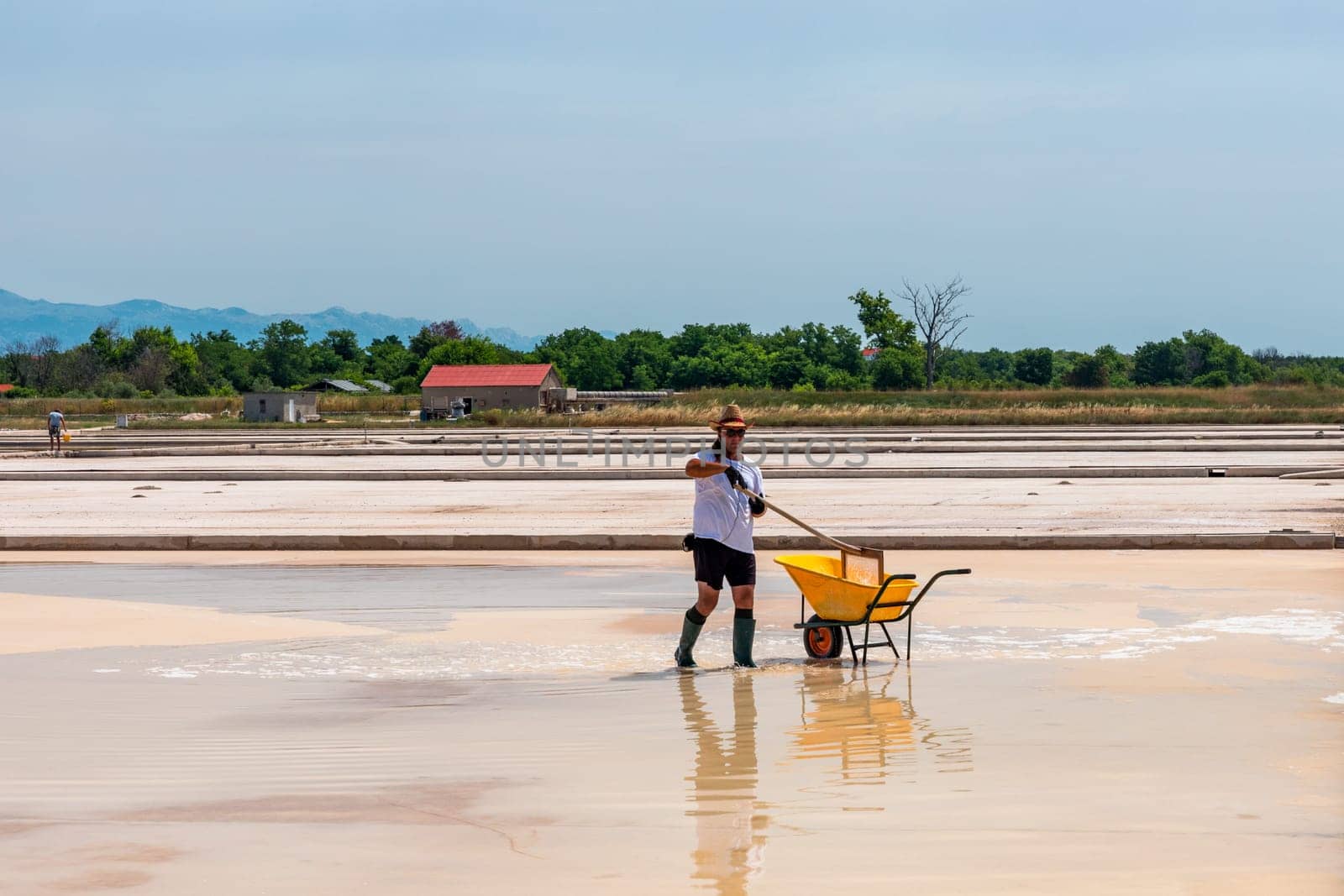 Nin, Croatia - 8 July 2021: Man picking up salt in the swamp and filling the wheelbarrow. Salt farmer harvesting the salt. Sea salt is salt that is produced by the evaporation of seawater.