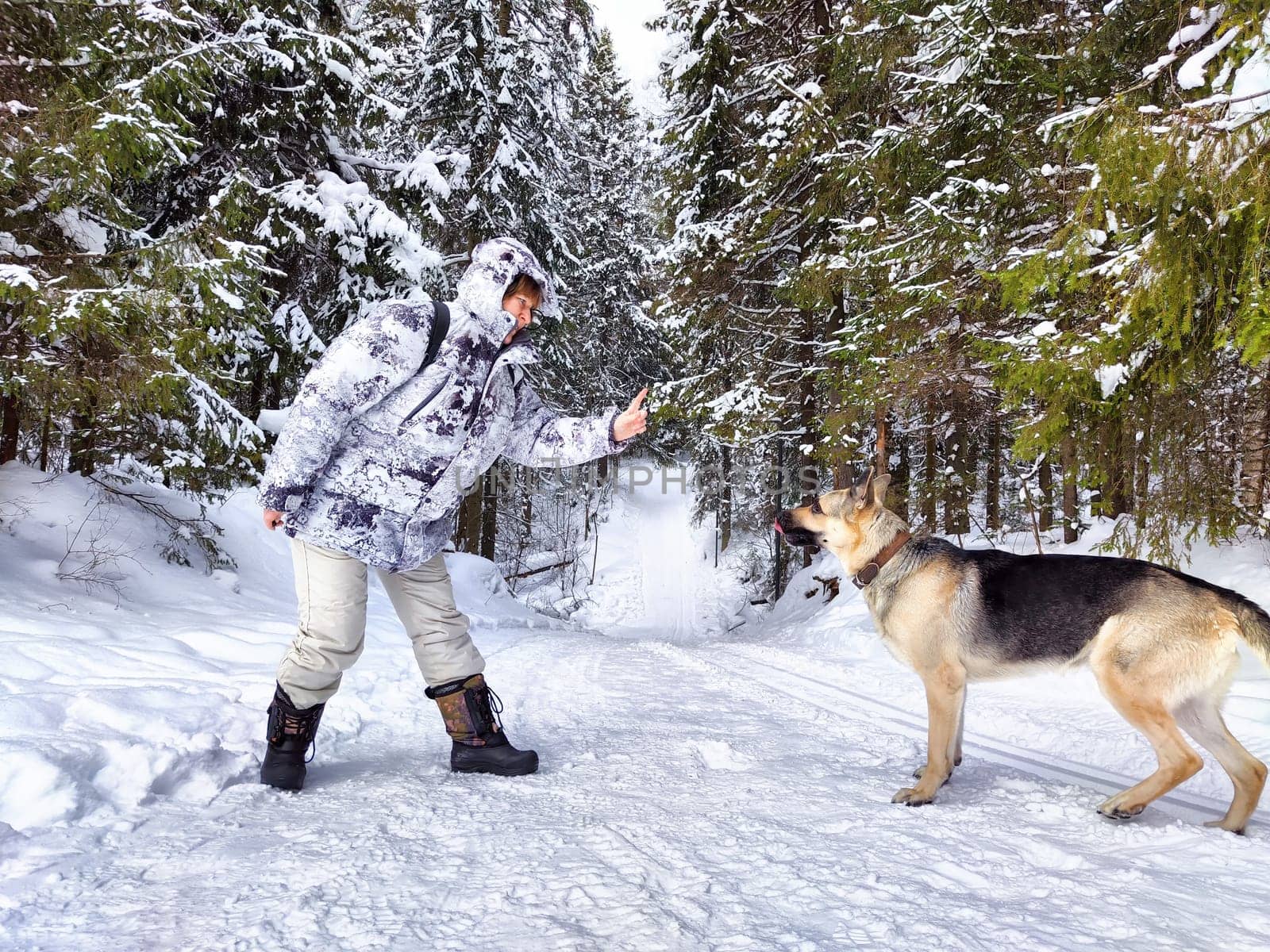 Adult girl or mature lady with shepherd dog in winter nature landscape in forest. Middle aged woman training big shepherd dog in cold day. Friendship, love, communication, fun, hugs