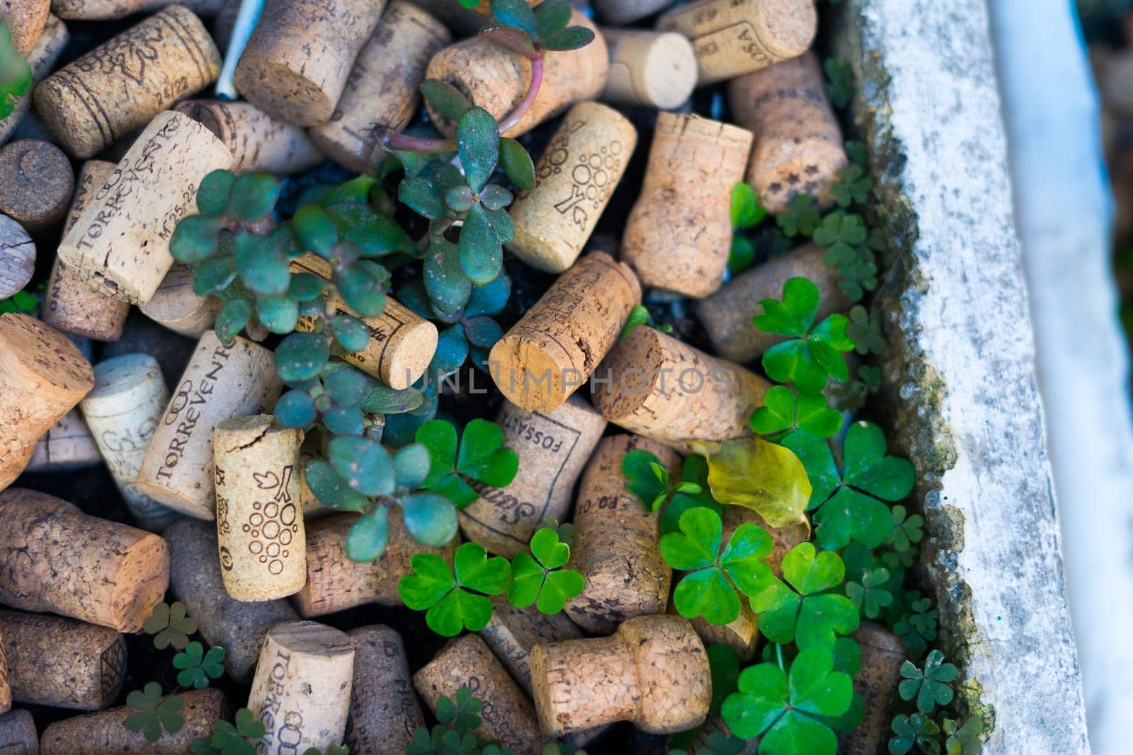 Naples, Italy - 2023 February 21: Wine corks illustrative editorial background, outdoors photo