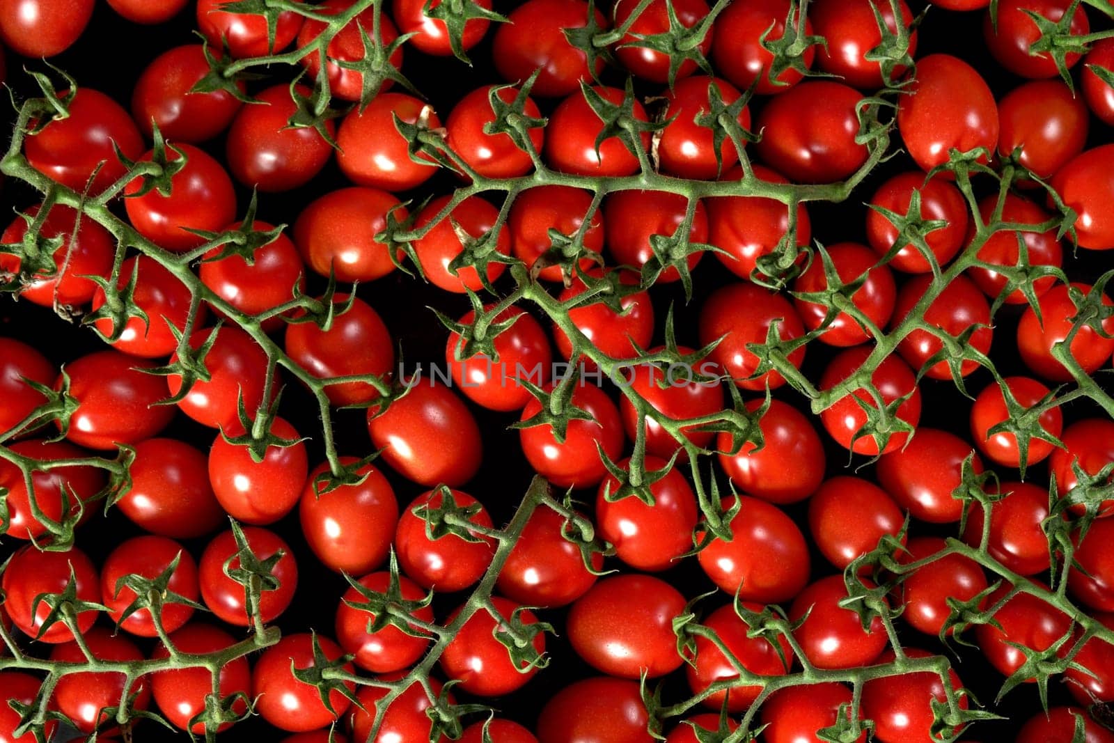 Heap of small cherry red tomatoes with green vines, tabletop view by Ivanko