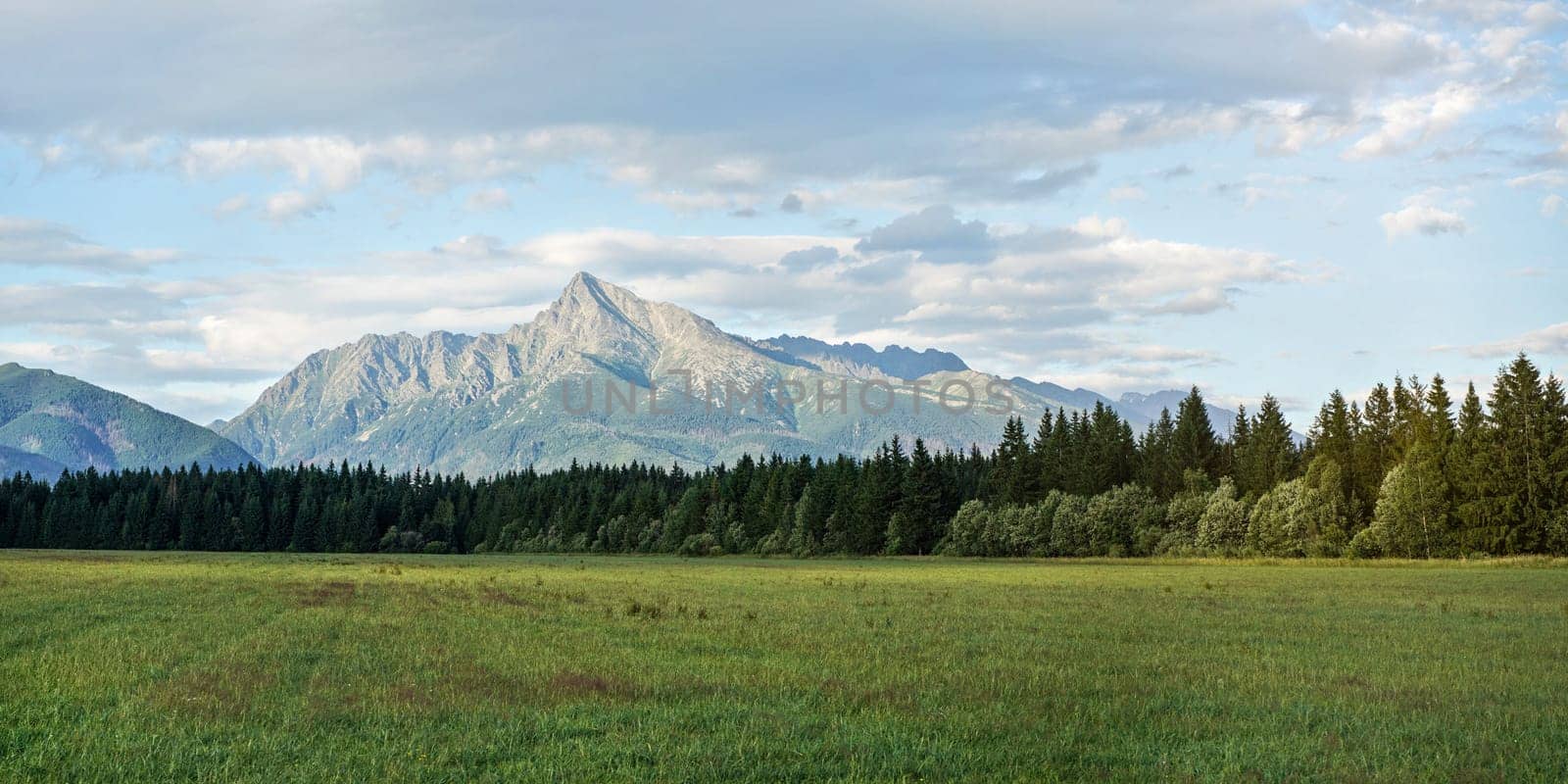 Green meadow with small forest and mount Krivan peak (Slovak symbol) in distance on summer afternoon by Ivanko