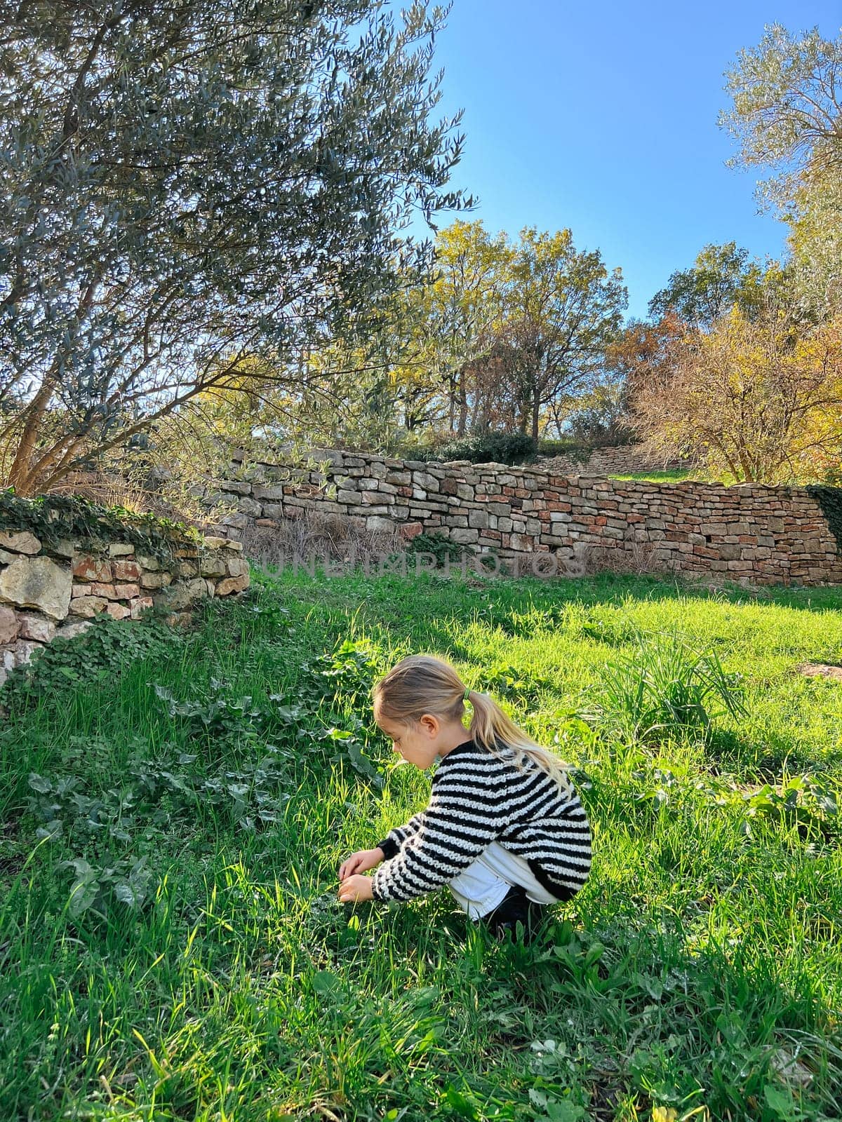 Little girl squats in a clearing and collects something in the grass. High quality photo