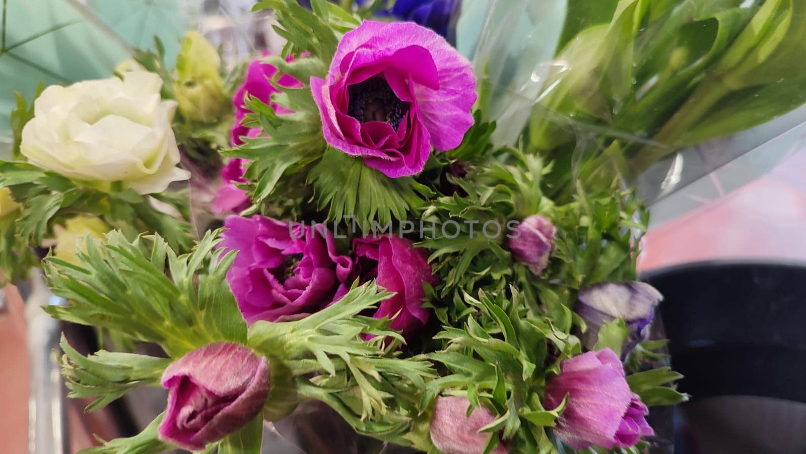 beautiful fresh pink and white flowers, bouquet, flora. High quality photo