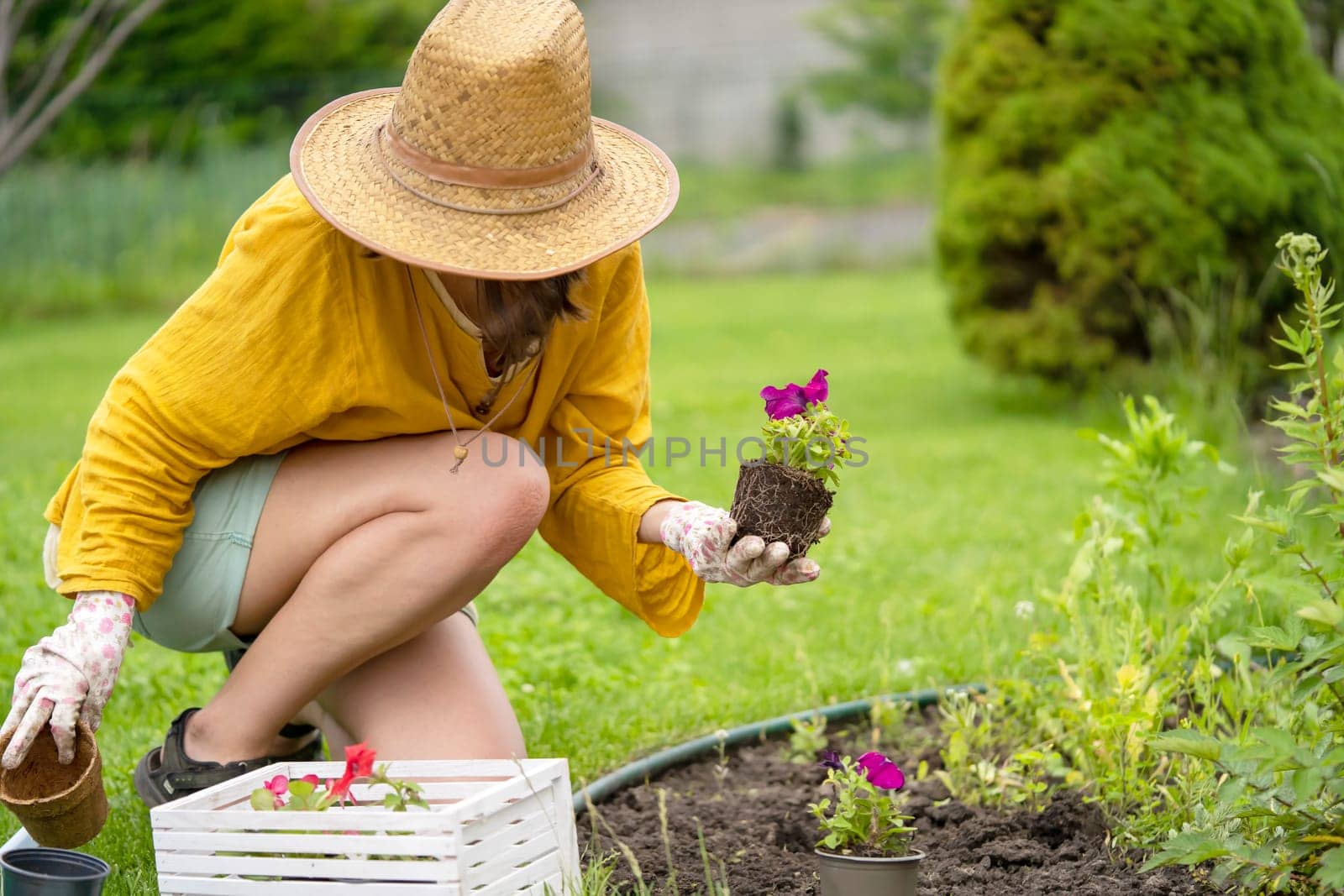 A girl in a straw hat is engaged in gardening, plantening work by africapink