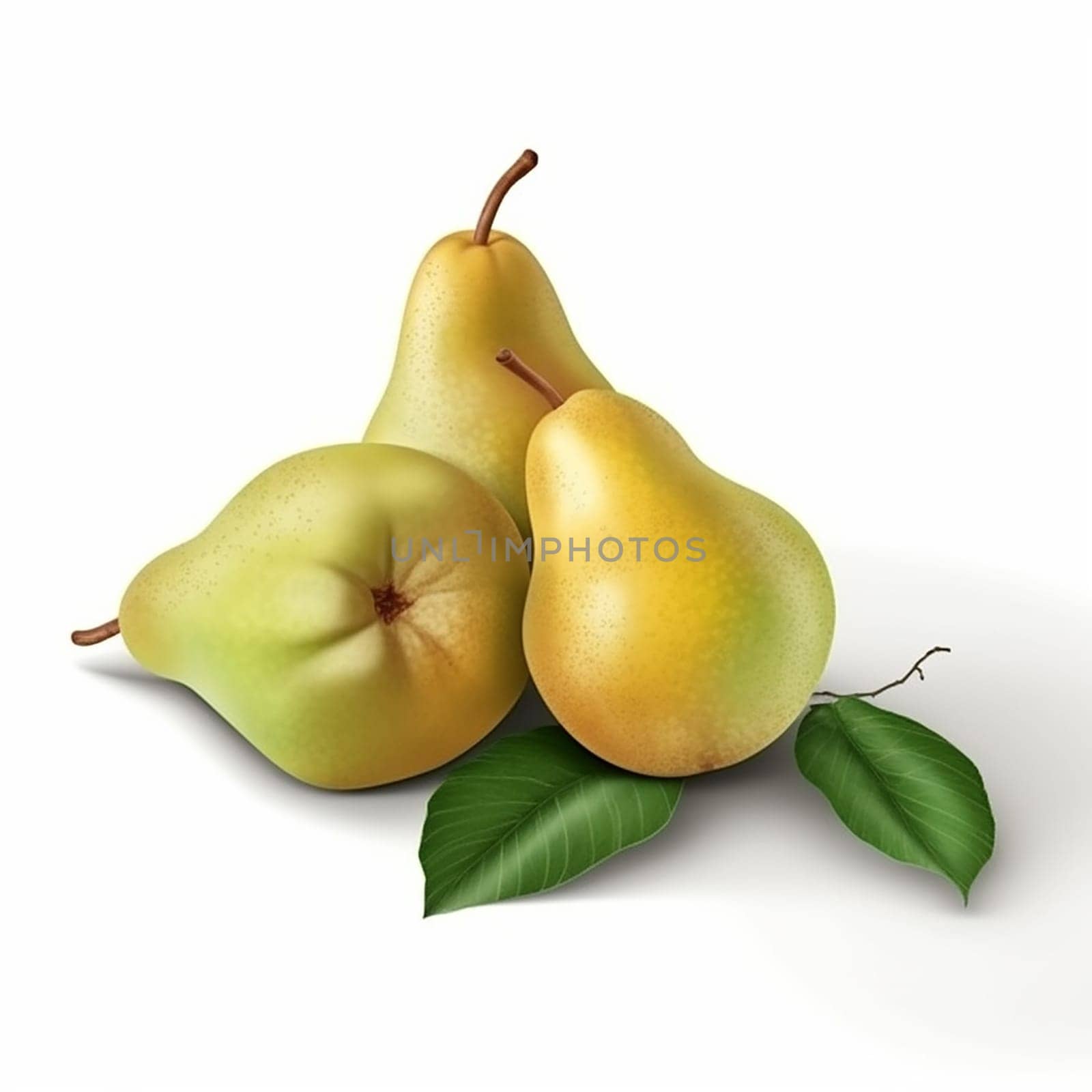 Three ripe pears with stems and leaves on a white background