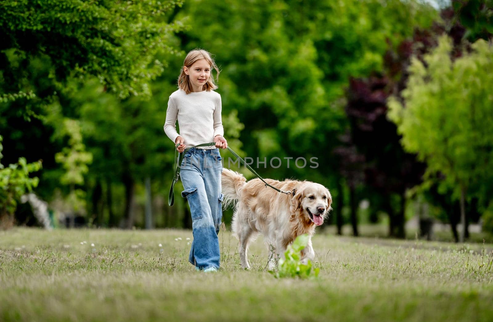 Preteen girl with golden retriever dog walking at nature. Cute child kid with purebred pet doggy labrador in park at summer