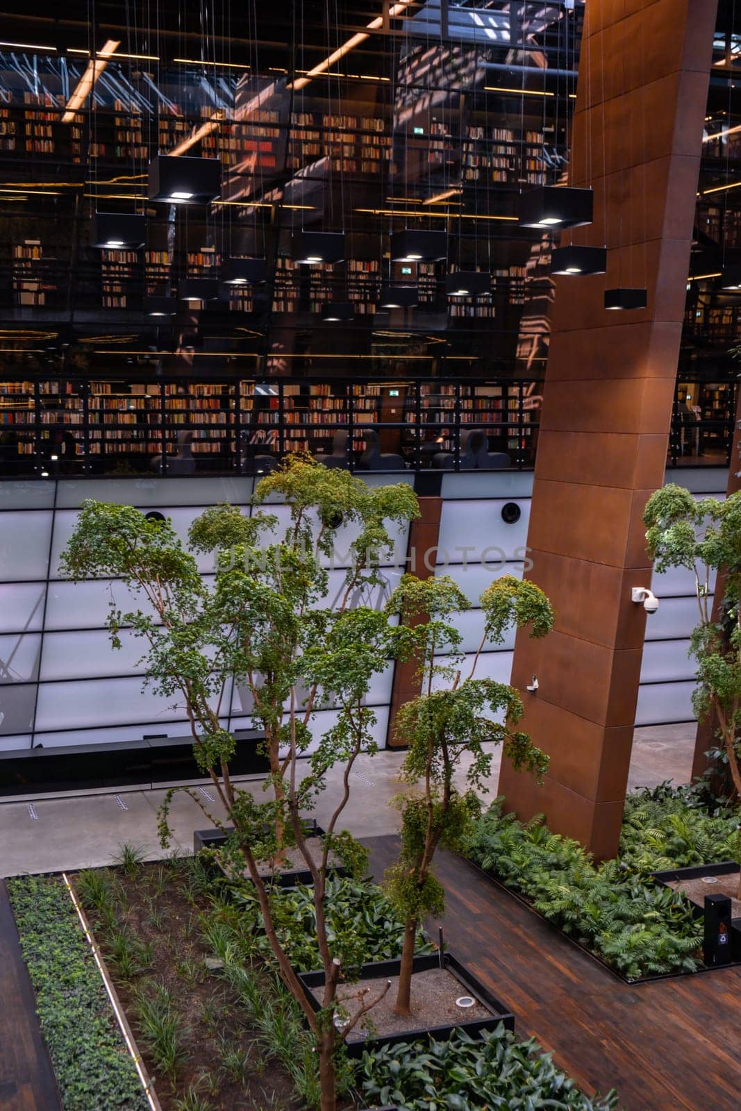 Public Library architecture bookcase Indoor trees Modern interior design of library in European Solidarity Centre Gdansk Poland. Biophilia design connecting with nature green areas. Modern abstract museum in Europe. Travel destination tourist attraction
