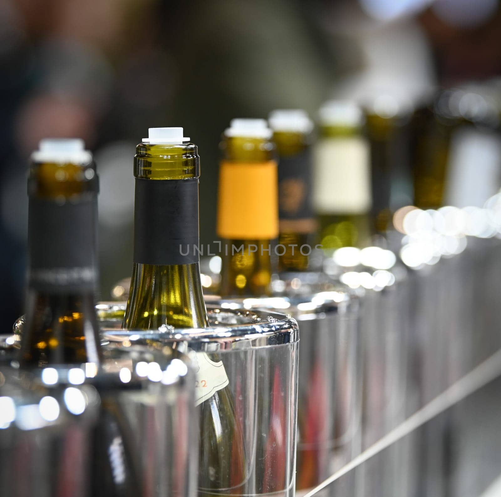 Tasting wine, Row of vintage wine bottles in a wine cellar by FreeProd