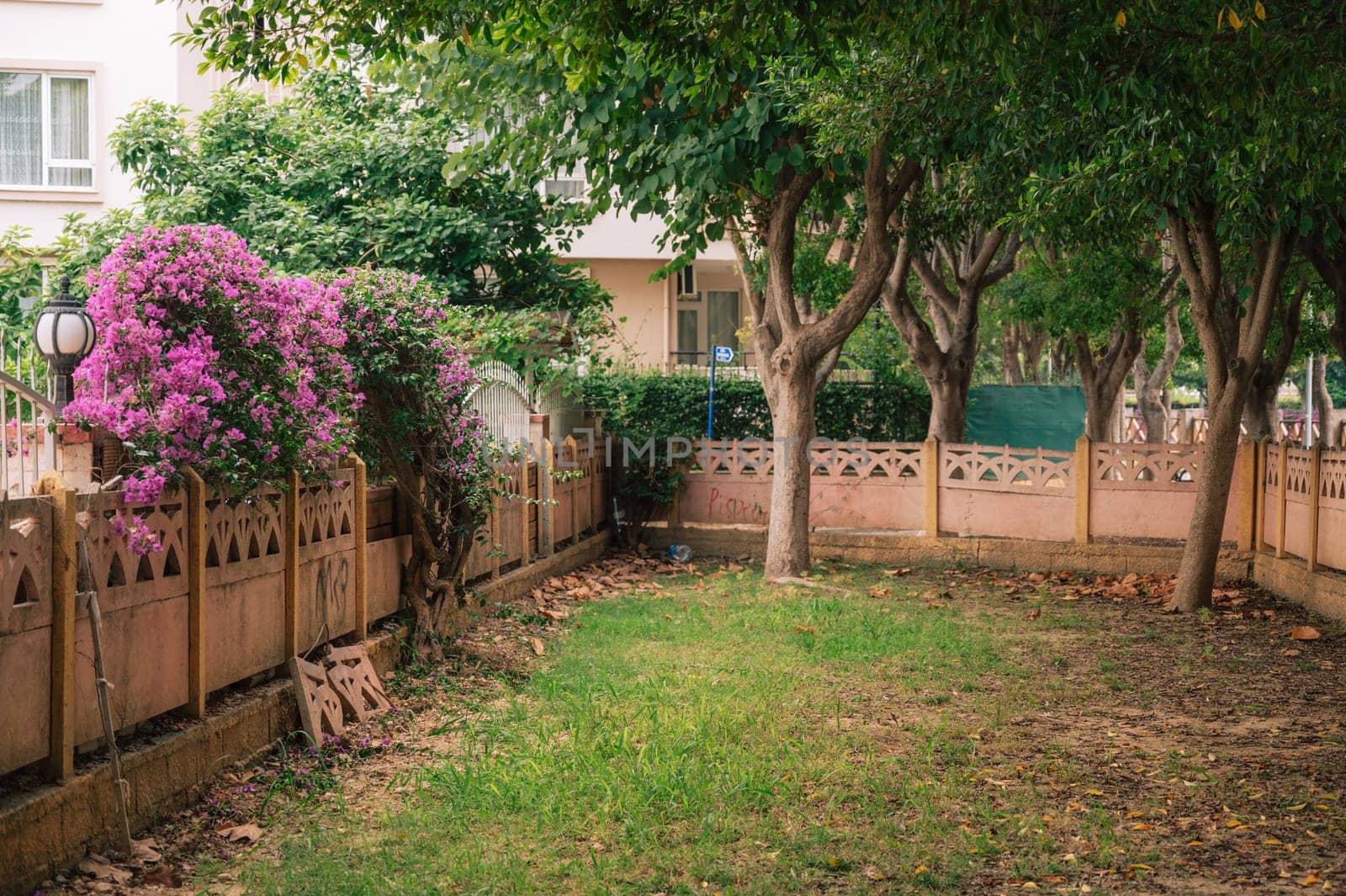 Summer blooming oleander flowers in residential area on Alanya street, Turkey