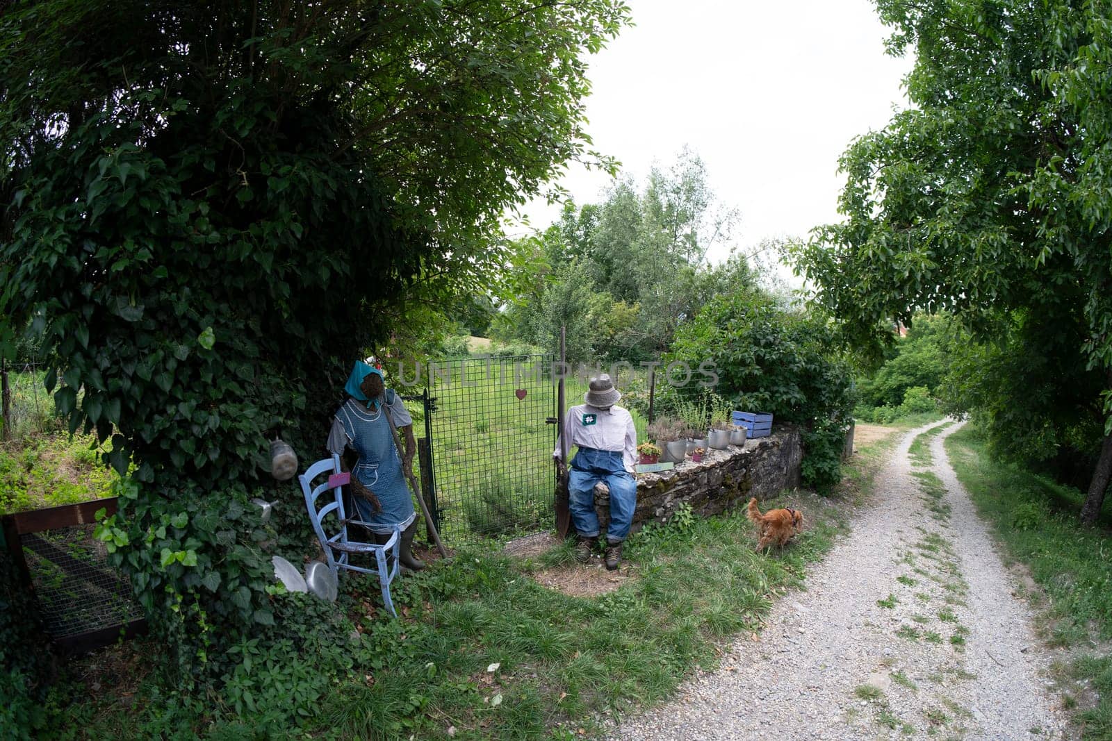 The scarecrow of vendersi village piedmont italy