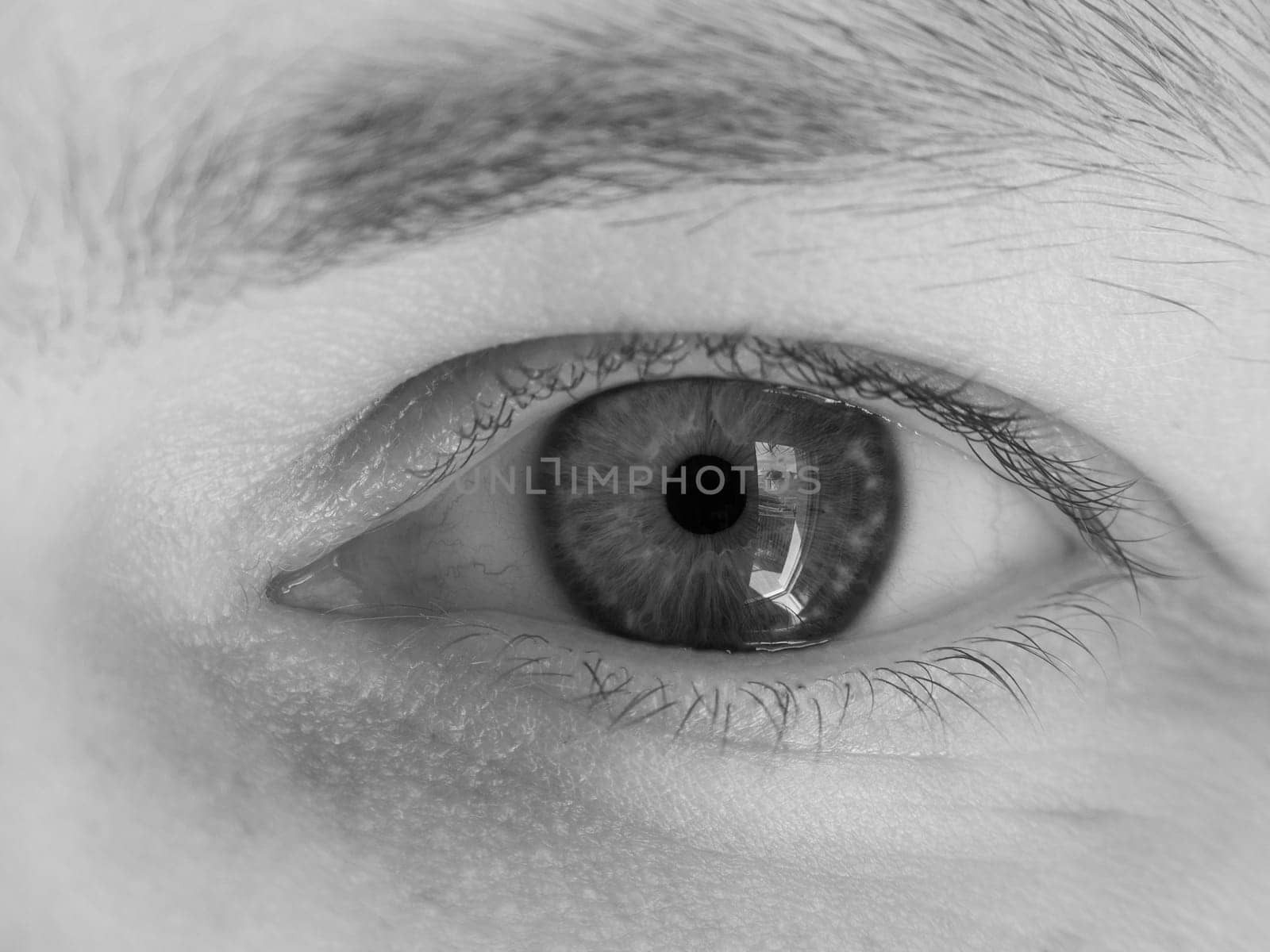Close-up of a human eye showing intricate details in black and white photography by apavlin